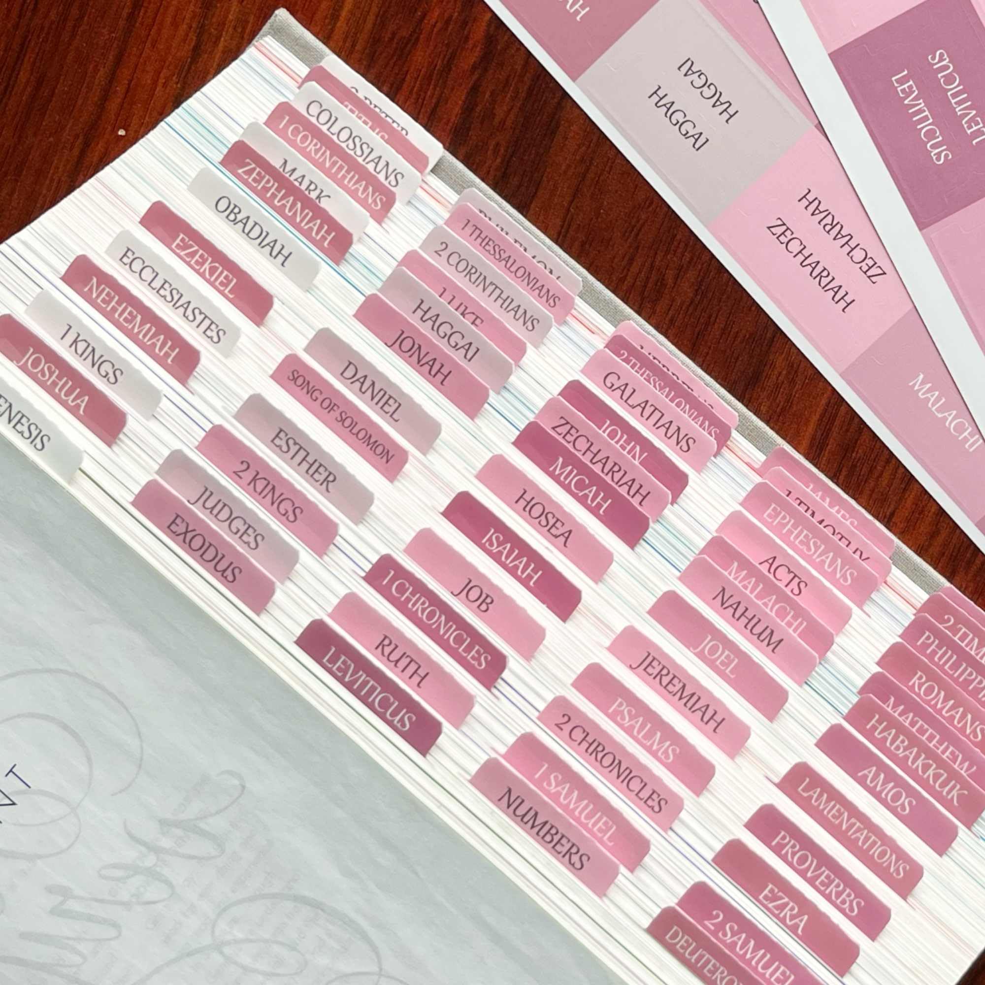 Laminated Bible Tabs, Reposition Large Print Stickers, Easy to Read and Apply Bible Tabs for Women and Man (White Pink)