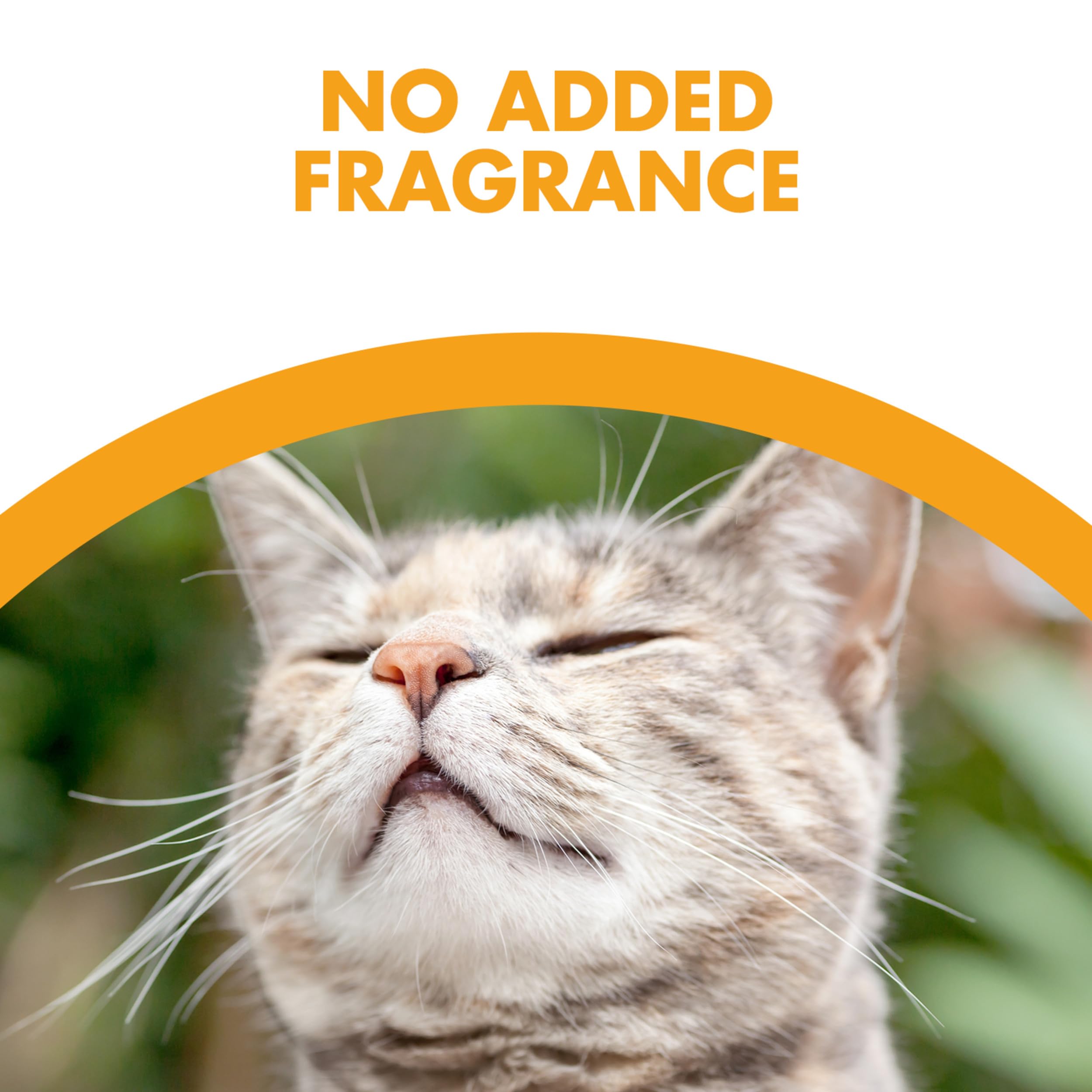 Feline Pine Platinum Non-Clumping Cat Litter, Feline Pine Cat Litter 18lb