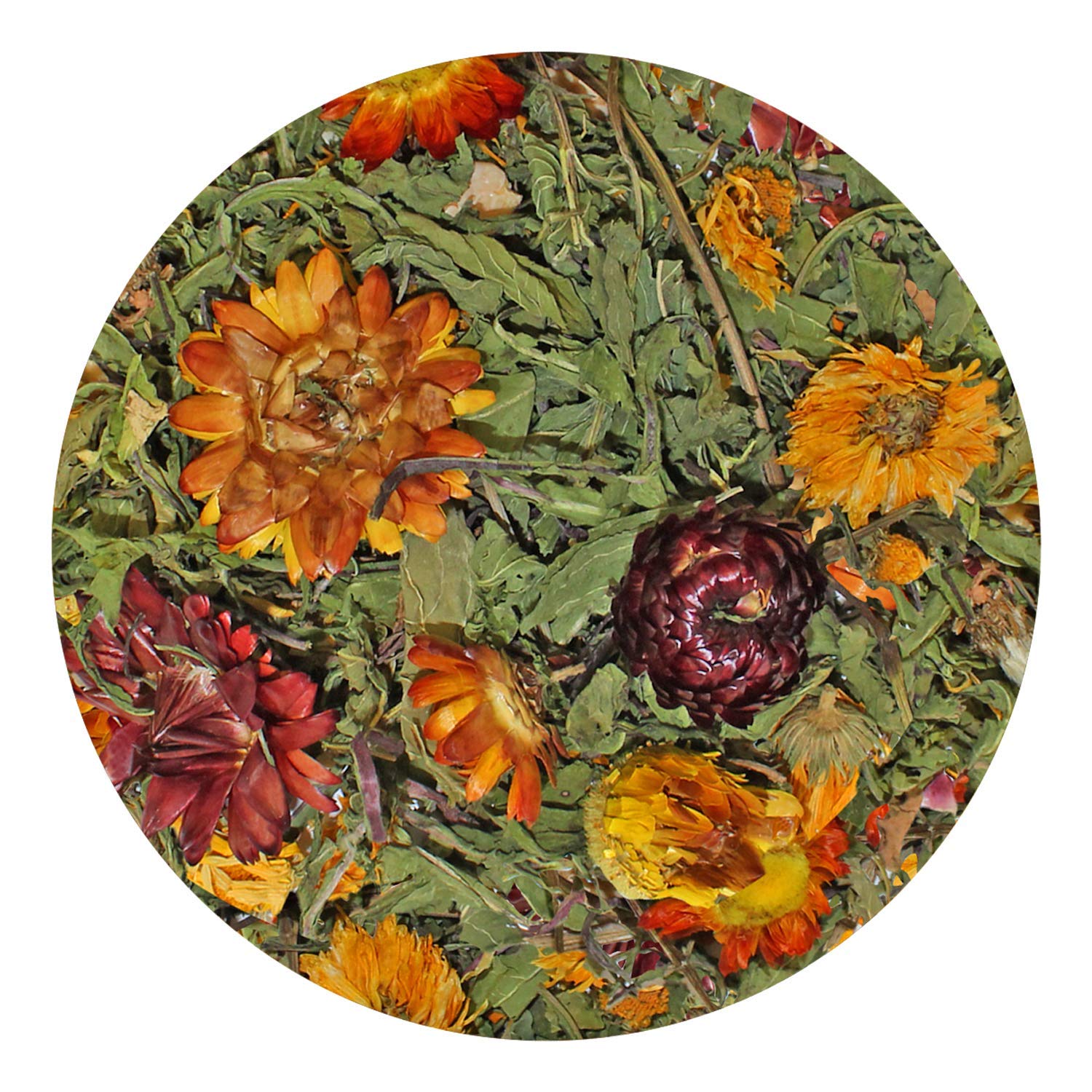 Pasture Plus+ Dandelion Delicacy - Healthy Natural High-Fiber Dried Flower Treat - Squirrels, Guinea Pigs, Rabbits, Chinchillas, Prairie Dogs, Degus, Hamsters, Gerbils & Other Small Pets