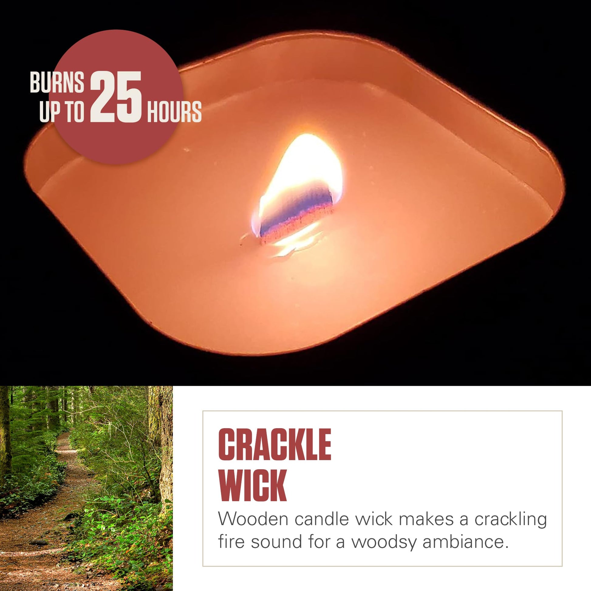 Coleman Pine Scented Citronella Candle with Wooden Crackle Wick - 6 oz Tin