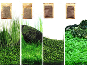 4 Pack Aquarium Plant S.e.e.ds, no Artificial Plastic Plant, Fish Tank Live Grass for All Substrate (0.36ozTiny+0.36oz Long+0.36oz Short+0.36oz Big Dual) ZQV-005