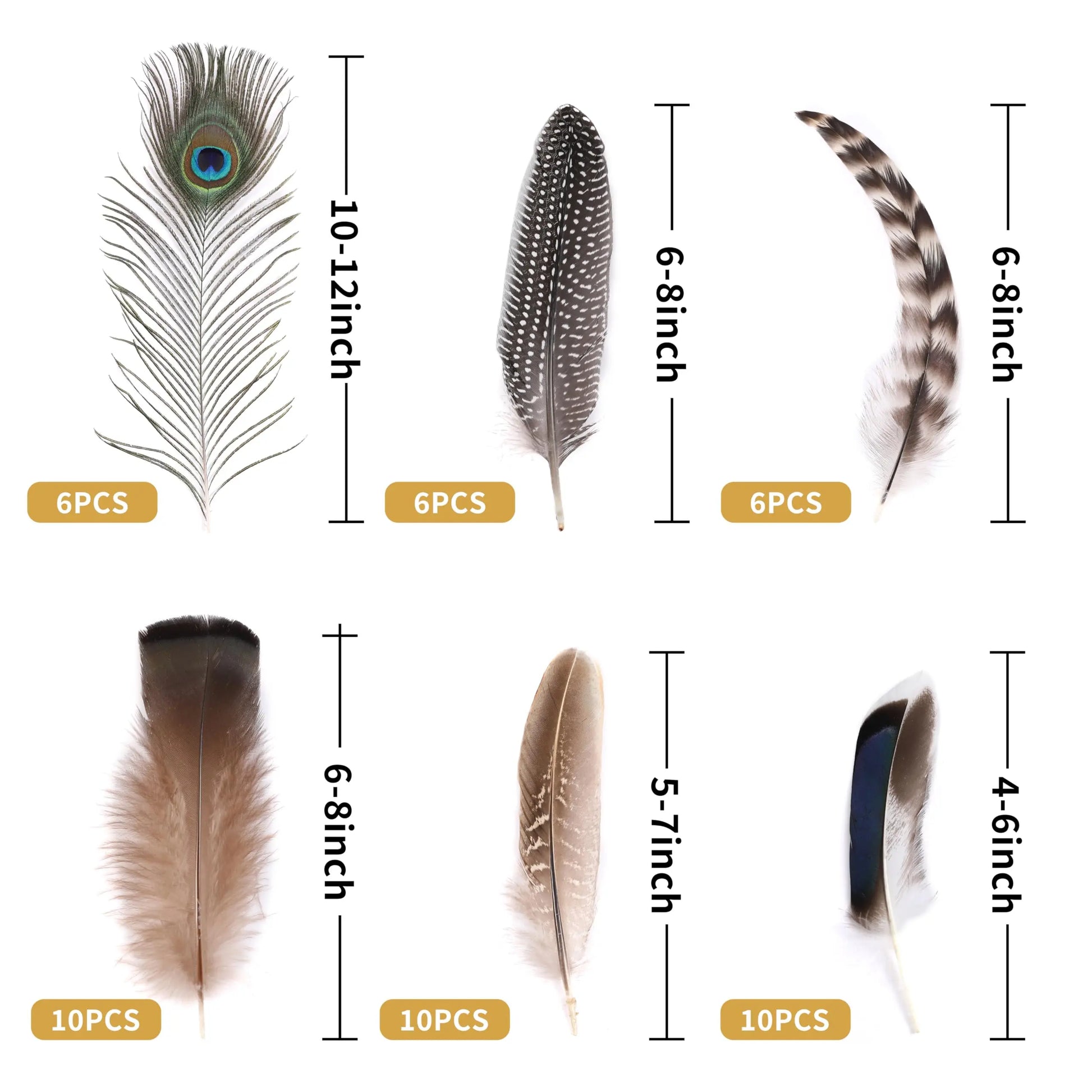 Holmgren 48pcs Natural Feathers Bulk - 6 Styles Assorted Peacock, Pheasant, Turkey Feathers for Craft DIY Jewelry Hat Wedding Home Party Decoration
