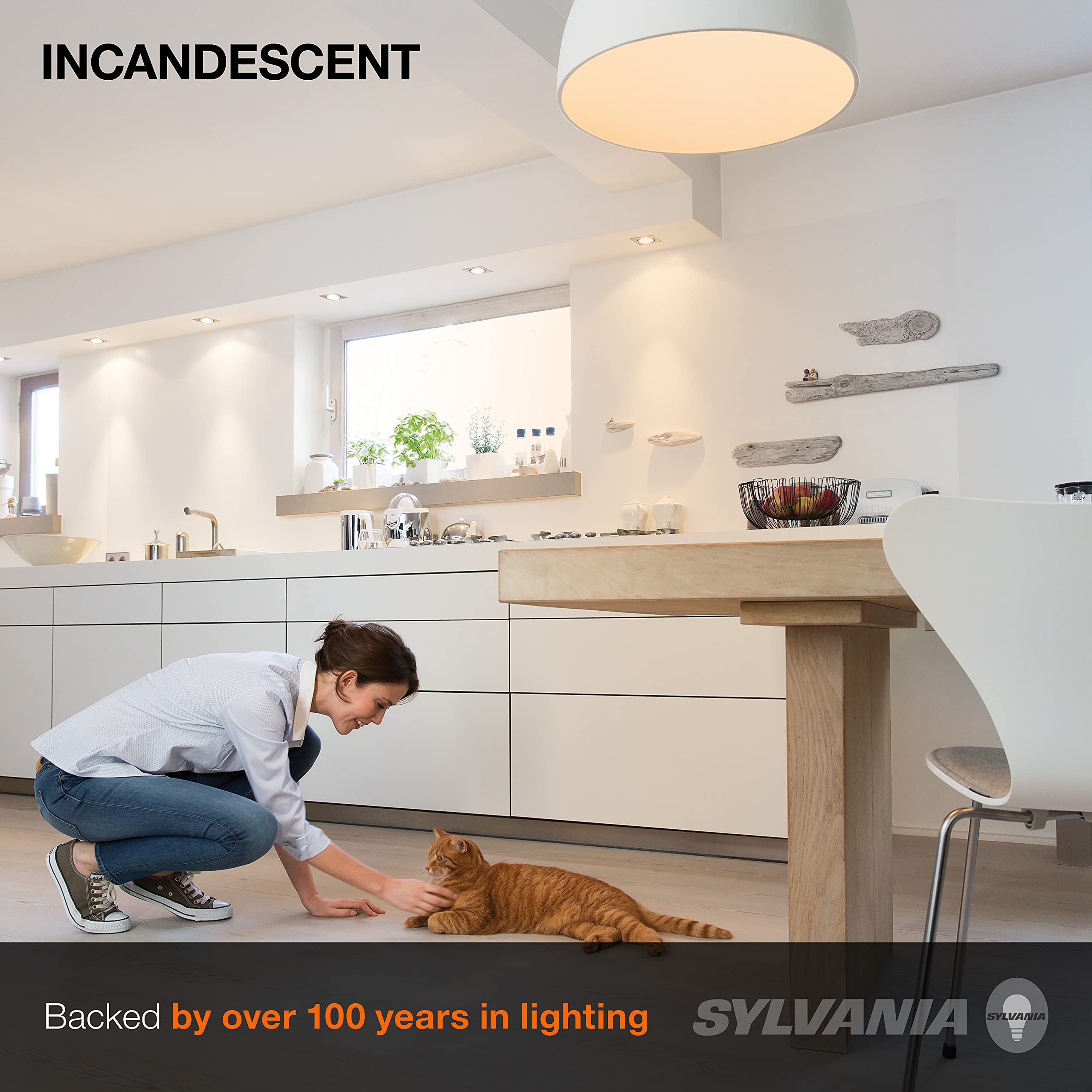 SYLVANIA Incandescent Light Bulb, 25W A19, Dimmable, Medium Base, 160 Lumens, 2850K, Soft White - 2 Count(Pack of 1)(10562)