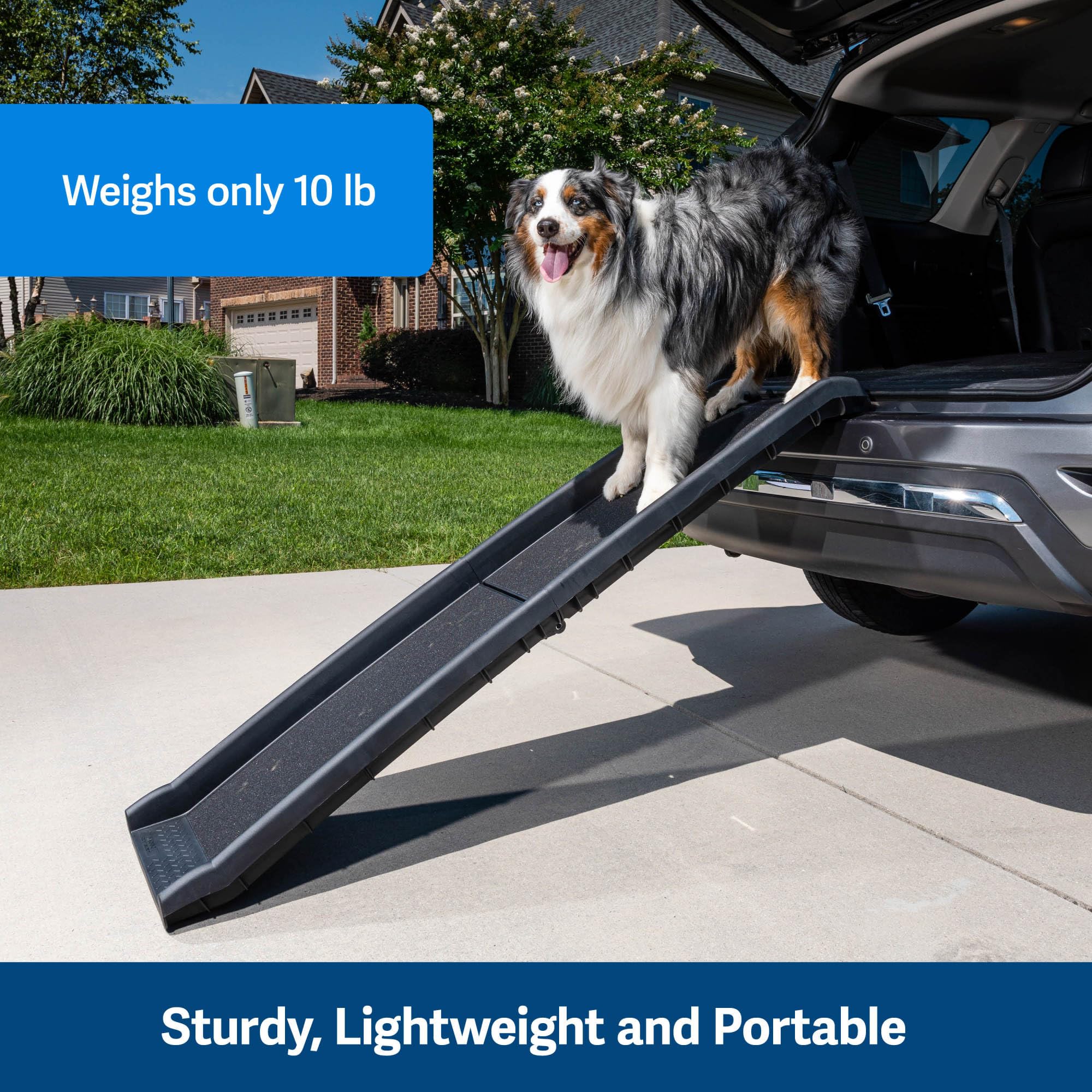PetSafe Happy Ride Folding Pet Ramp, Portable Lightweight Dog Ramp for Cars, Trucks & SUVs