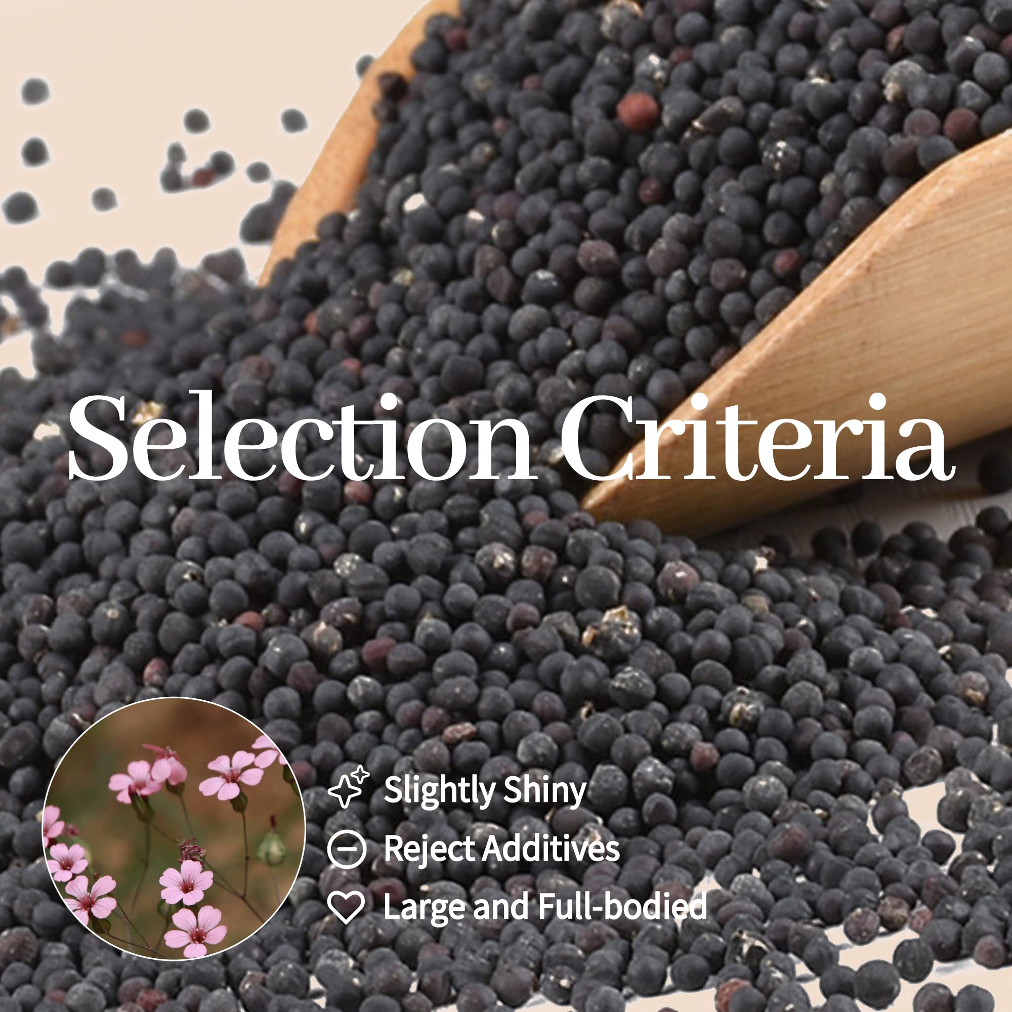 1200Pcs Ear Seeds Acupuncture Kit, Auricular Sticker Kit with Ears Seed, Acupuncture Pen, Acupressure Ear Chart,Tweezers