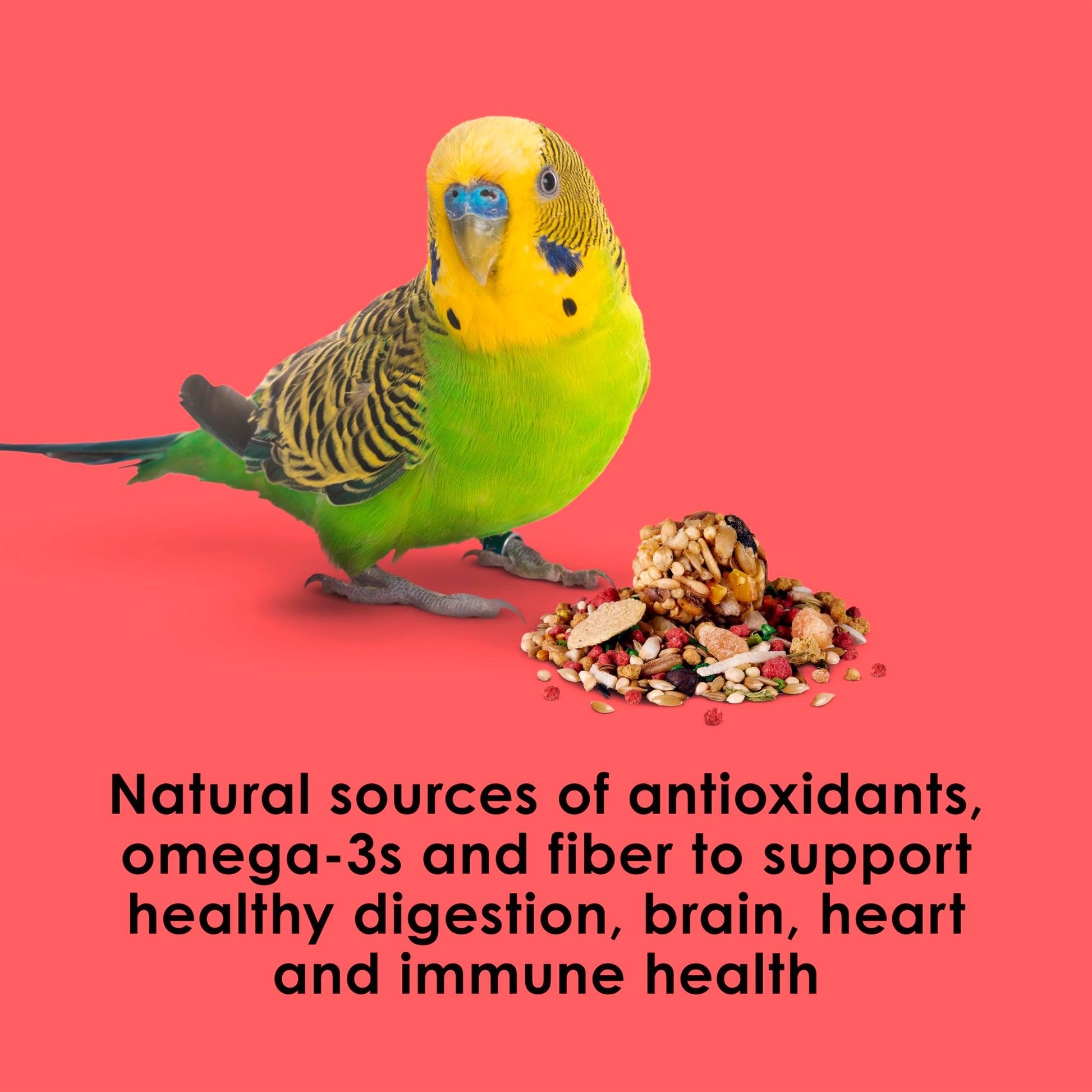 Kaytee Fiesta Parakeet Food, Nutritious and Fun Blend, Supports Skin, Feather, Digestion, Brain and Heart Health, 2 pounds