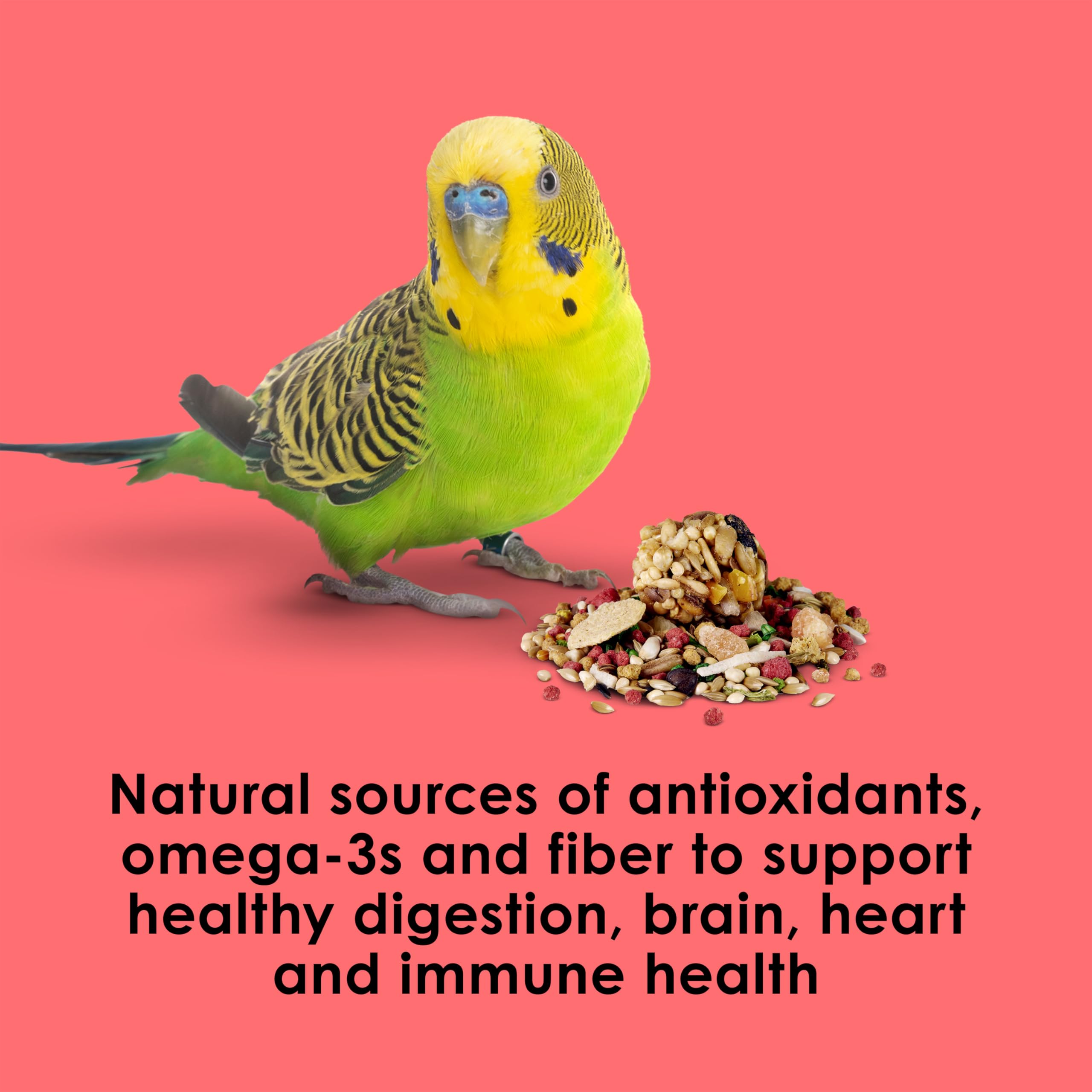 Kaytee Fiesta Parakeet Food, Nutritious and Fun Blend, Supports Skin, Feather, Digestion, Brain and Heart Health, 2 pounds