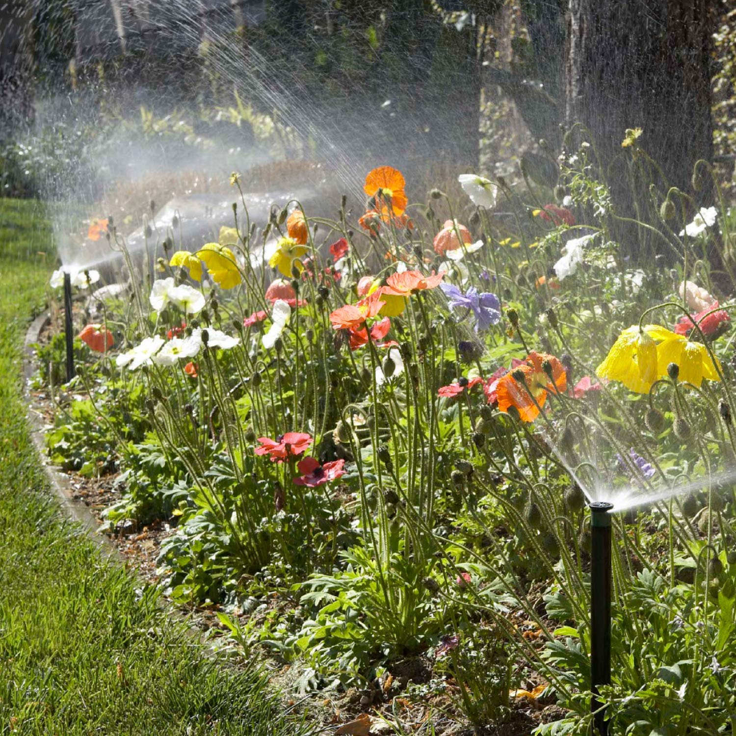 Hunter Pro 4" Pop Up Sprinkler Head, Adjustable 0°–360° Spray Pattern, 8'–15' Coverage, In-Ground Lawn Irrigation System, Sprinkler Head for Yard and Garden