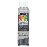 Tulip ColorShot Instant Fabric Spray Color 3oz. Red