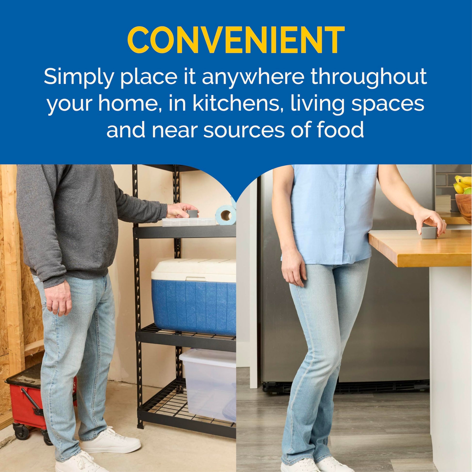 Hot Shot Flying Insect Trap, Discreet, Trap Attracts and Captures House Flies and Fruit Flies, 24/7 Continuous Attraction, No Plug-in Or Electricity Needed, 6 Count