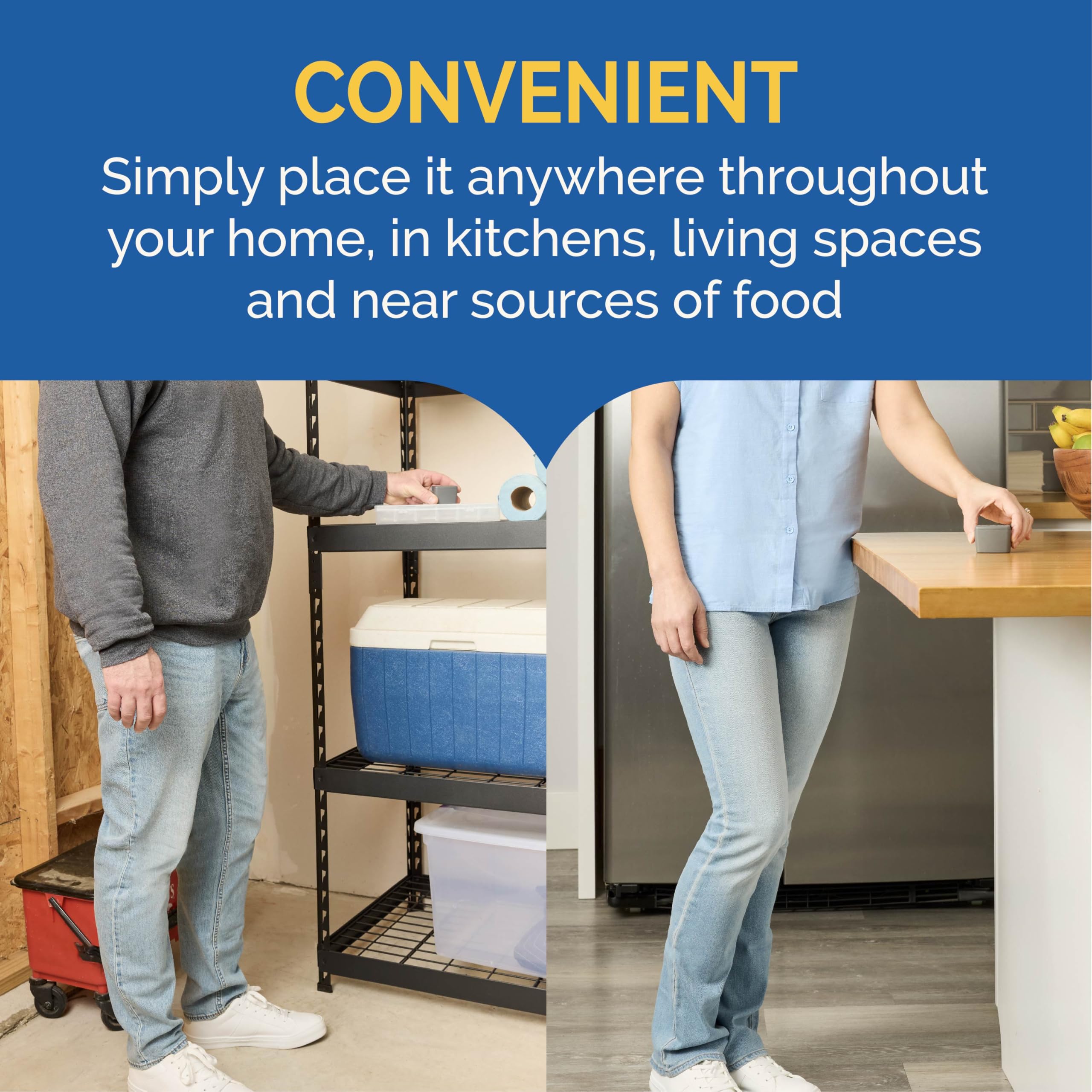 Hot Shot Flying Insect Trap, Discreet, Trap Attracts and Captures House Flies and Fruit Flies, 24/7 Continuous Attraction, No Plug-in Or Electricity Needed, 6 Count