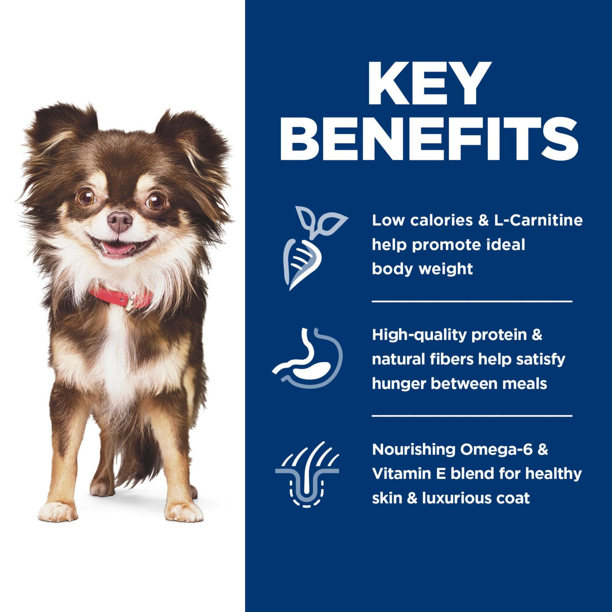 Hill's Science Diet Sensitive Stomach & Skin, Adult 1-6, Small & Mini Breeds Stomach & Skin Sensitivity Support, Dry Dog Food, Chicken Recipe, 4 lb Bag