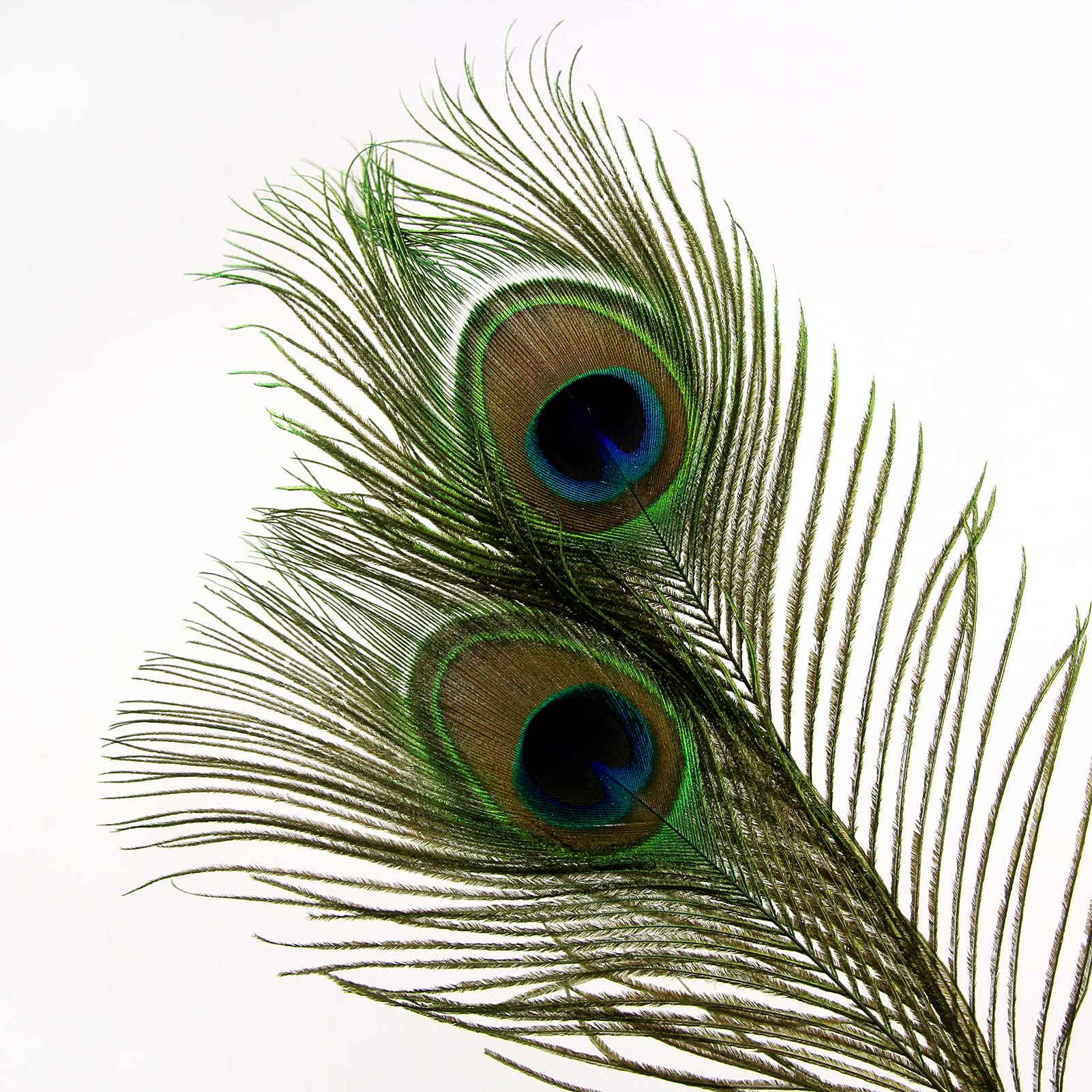 THARAHT 24pcs Peacock Feather Natural in Bulk 10-12 inch 25-30cm for Vase Craft Vase Wedding Home Party Christmas Day Decoration Peacock Feathers