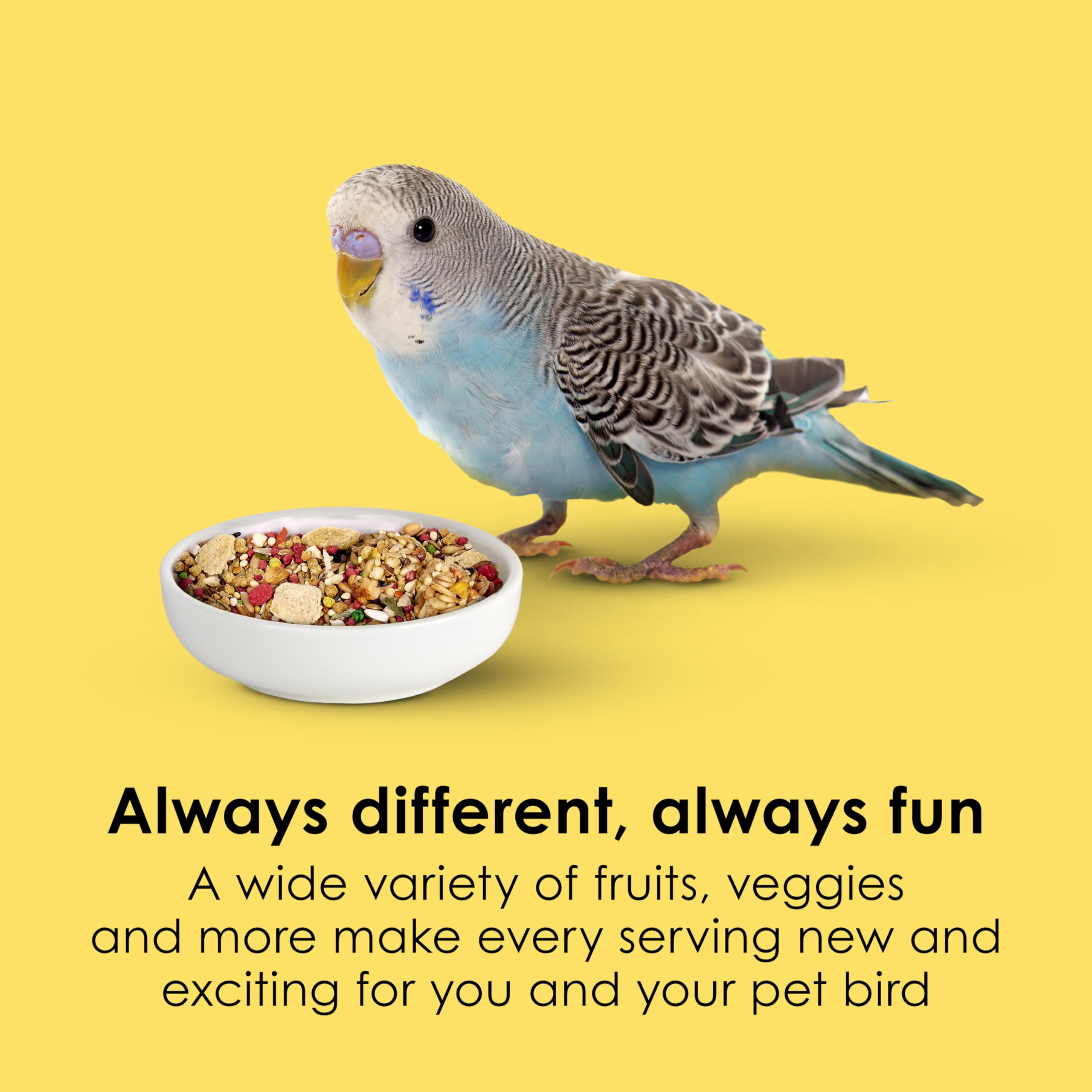 Kaytee Fiesta Parakeet Food, Nutritious and Fun Blend, Supports Skin, Feather, Digestion, Brain and Heart Health, 2 pounds