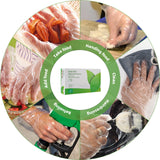 MoloTAR 500 Pieces Plastic Disposable Gloves,Disposable Gloves for Cleaning, [ One Size Fits Most ]