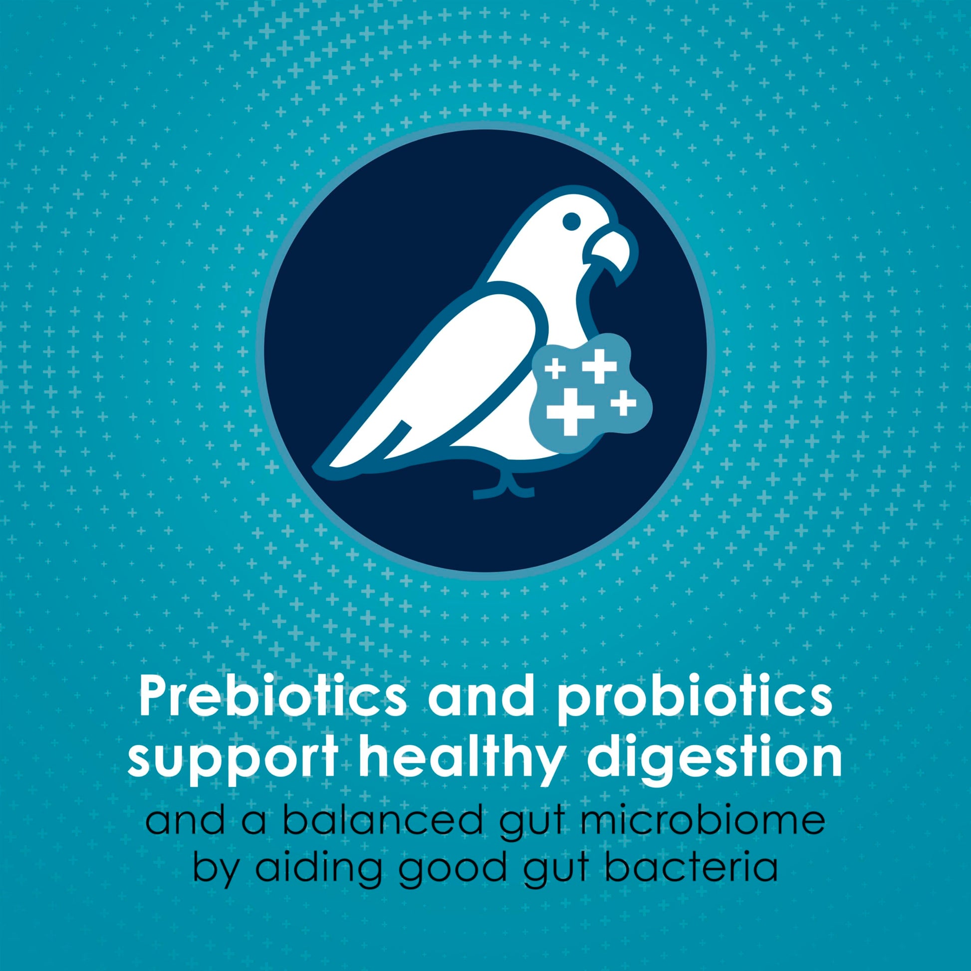 Kaytee Forti-Diet Pro Health Nourish+Protect Conure & Lovebird Food, Comprehensive Nutrition Backed by Science, Digestive Health, Immune Support, 4 pounds