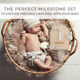 Beautiful Baby Monthly Milestone Cards - The Perfect Wooden Discs for Adorable Milestone Pictures of Your Newborn - 2X Reversible Arches Signs with Interchangeable Numbers Make a Great Shower Gift