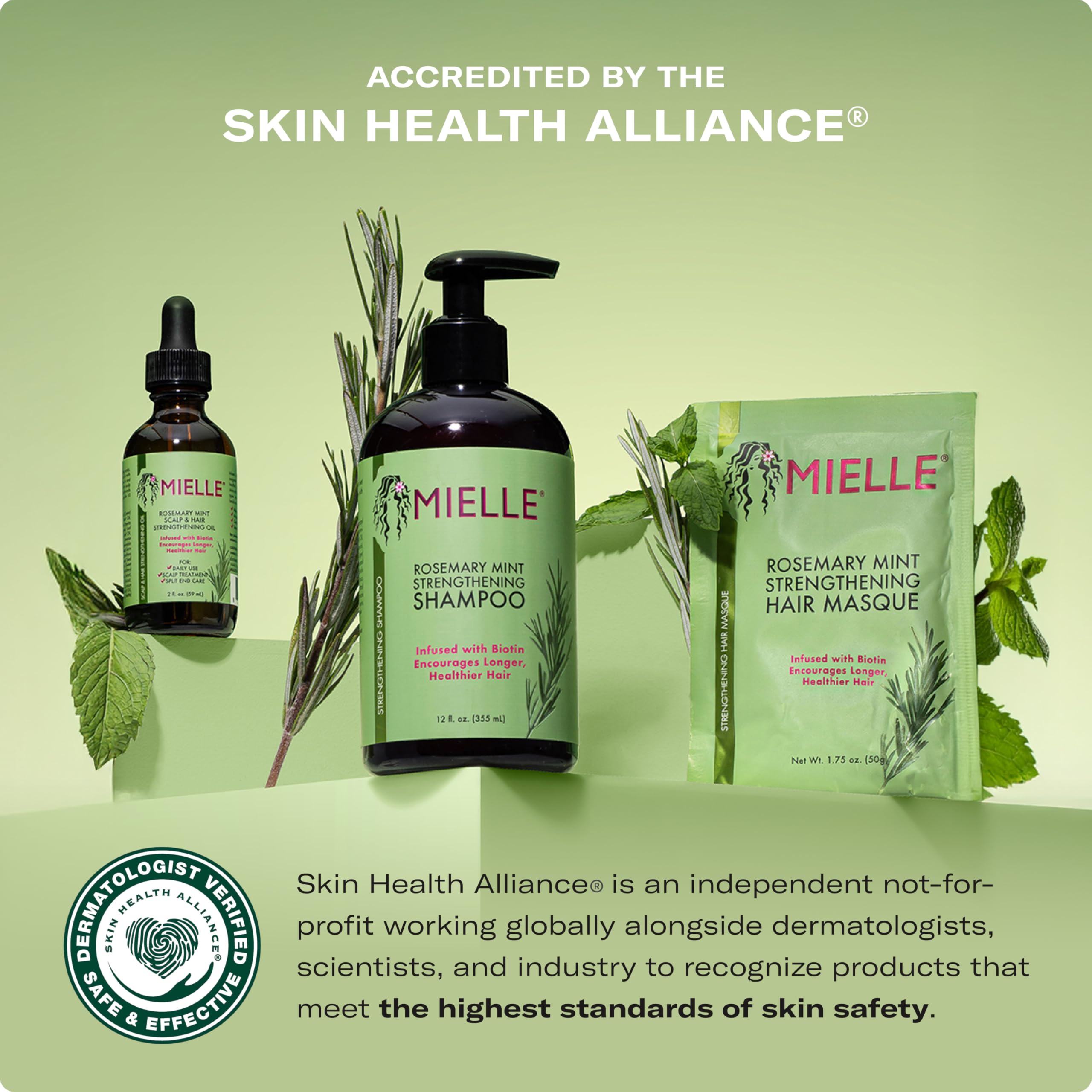 Mielle Organics Rosemary Mint Hair Strengthening Biotin Shampoo - Moisturizing Hair Shampoo for Women and Men to Gently Cleanse, Repair & Protect Strands (12 oz)