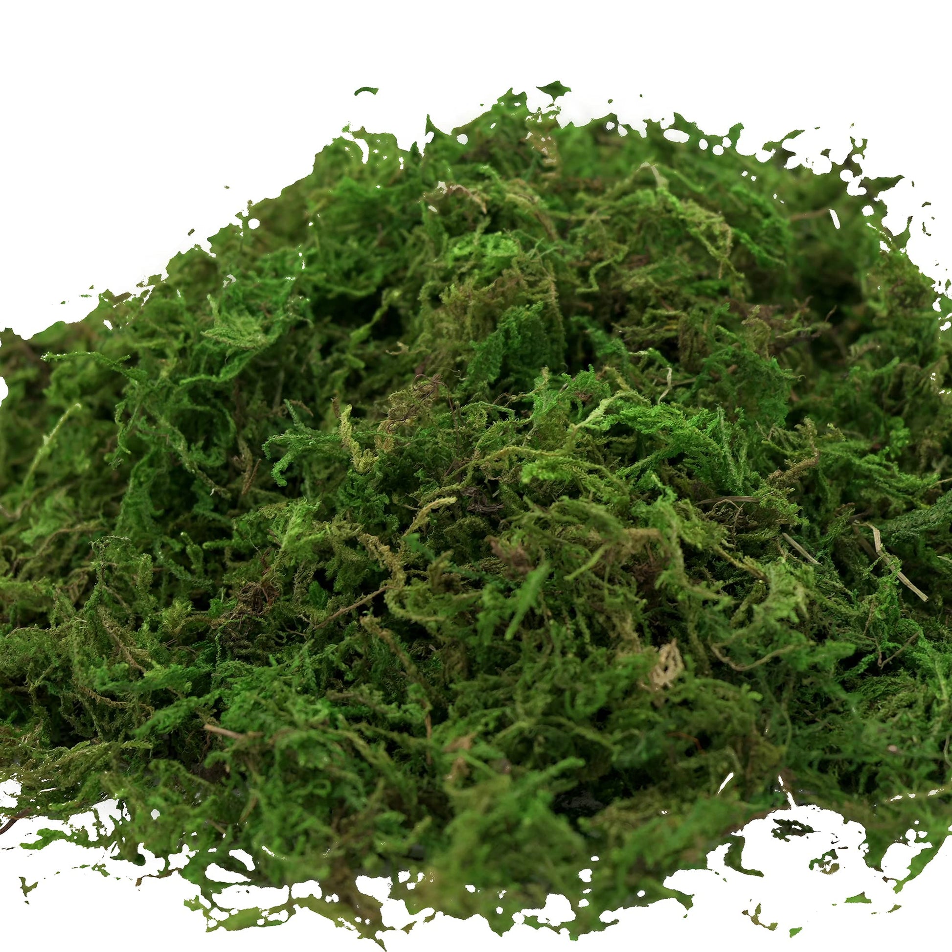 USMOLA Artificial Moss, 16OZ Fake Moss for Crafts, Decorative Centerpieces, Fairy Garden, Wedding Party Decor, Faux Potted Plants, 455gr (Fresh Green)