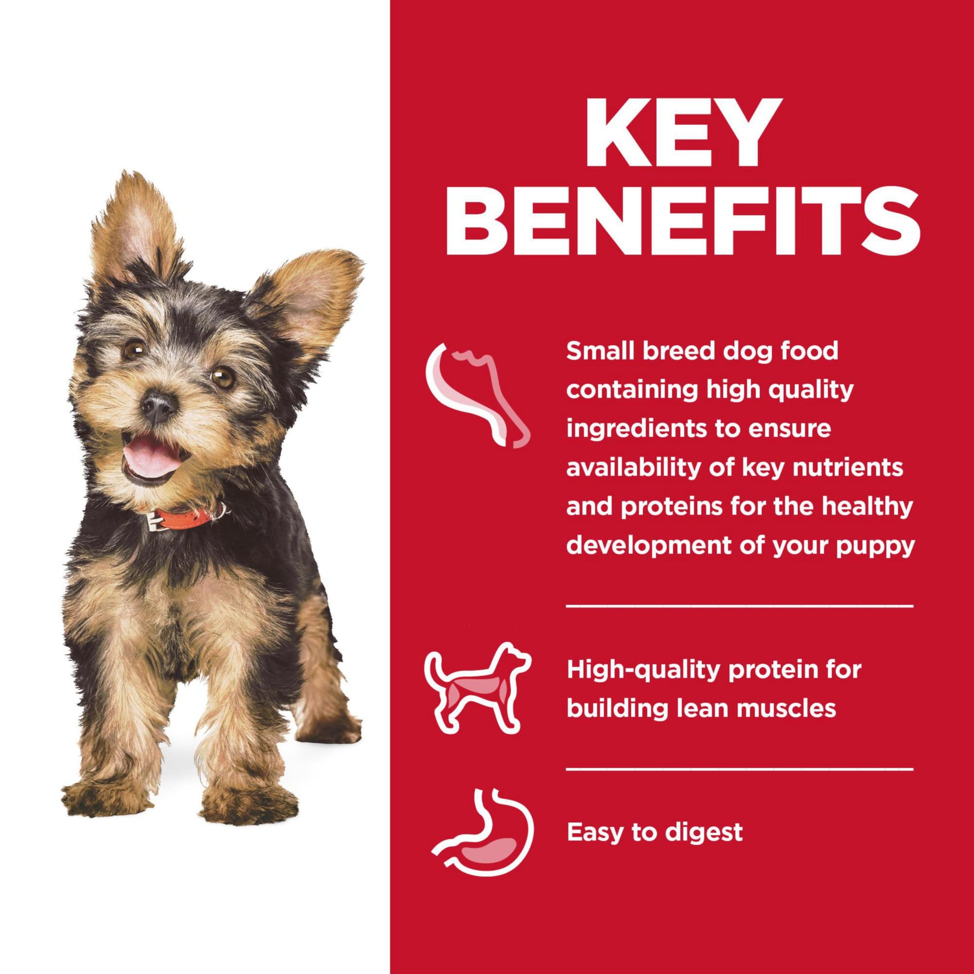 Hill's Science Diet Puppy Small & Mini Breeds Wet Dog Food, Chicken & Vegetables Stew, 3.5 oz. Trays, 12-Pack