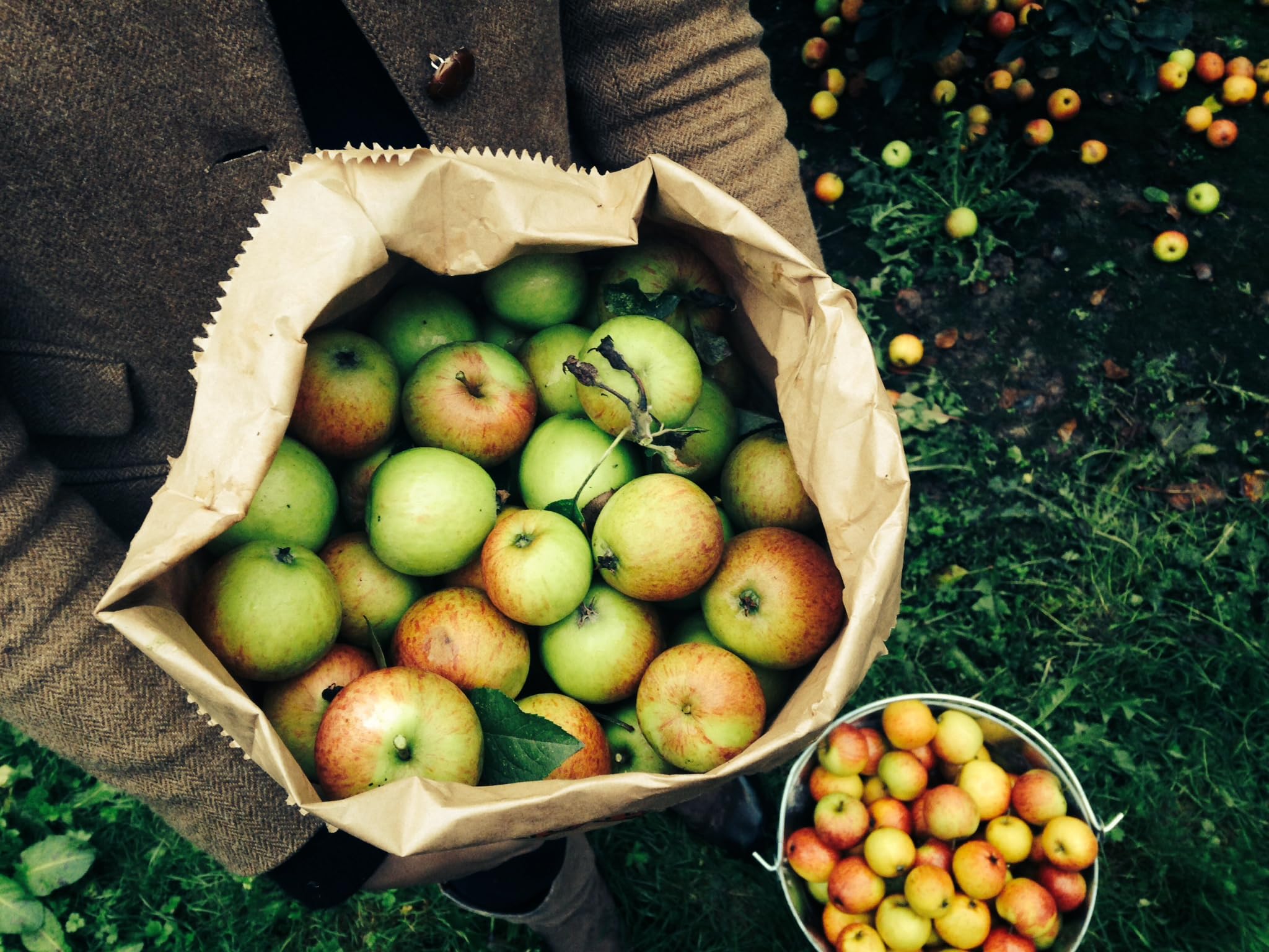 Willy's Organic ACV Apple Cider Vinegar with Mother - Probiotocs for Detox and Gut Health. 16.9oz Glass Bottle