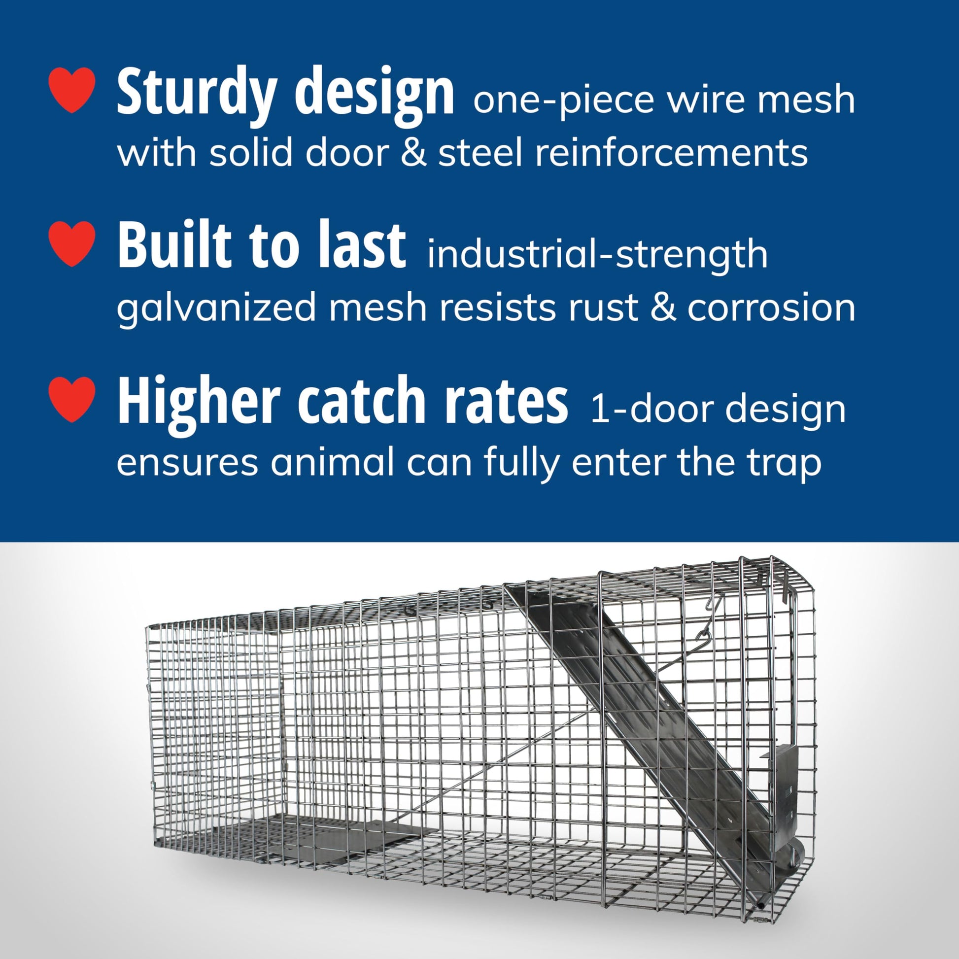 HAVAHART 1079SR Large 1-Door Humane Catch and Release Live Animal Trap Cage - Live Raccoon Trap, for Bobcats, Beavers, Dogs, & More