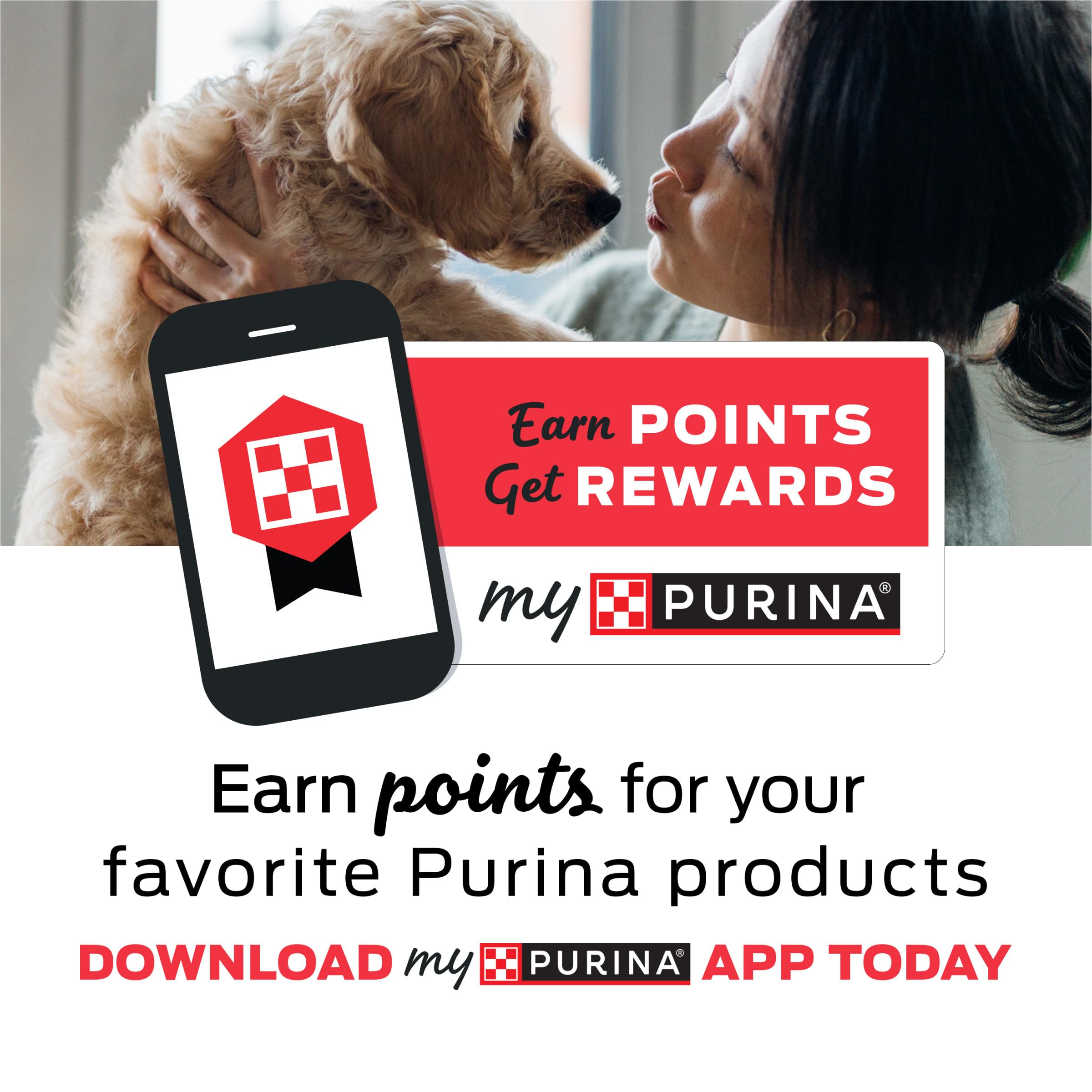 Purina Beneful Nassfutter für kleine Hunde Vielfaltspackung, IncrediBites mit echtem Rindfleisch, Huhn und Lachs - (30er-Pack) 85g Dosen