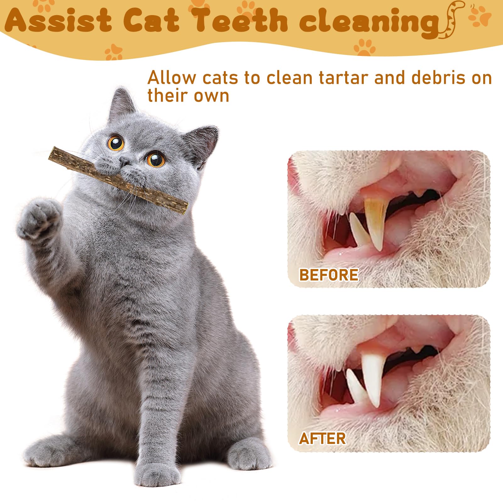 WoLover Silvervine Sticks for Cats, Natural Catnip Matatabi Chew Sticks Teeth Molar Chew Toys for Cat Kitten Kitty (at Least 12 PCS)