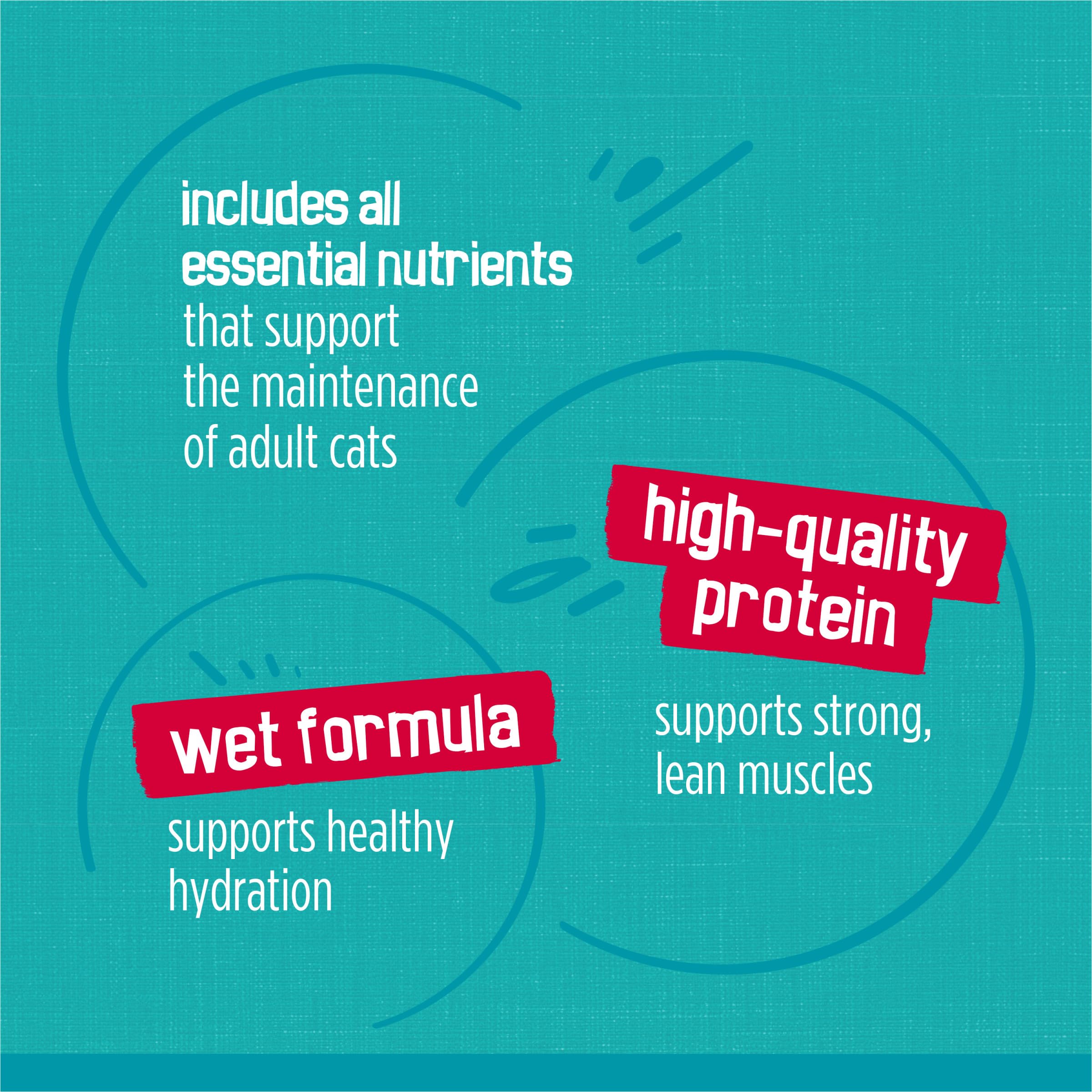 Purina Friskies Wet Cat Food Variety Pack, Tasty Treasures Prime Filets (With Chicken and Tuna, With Chicken, and With Ocean Fish and Tuna, and With Turkey) - (Pack of 24) 5.5 oz. Cans