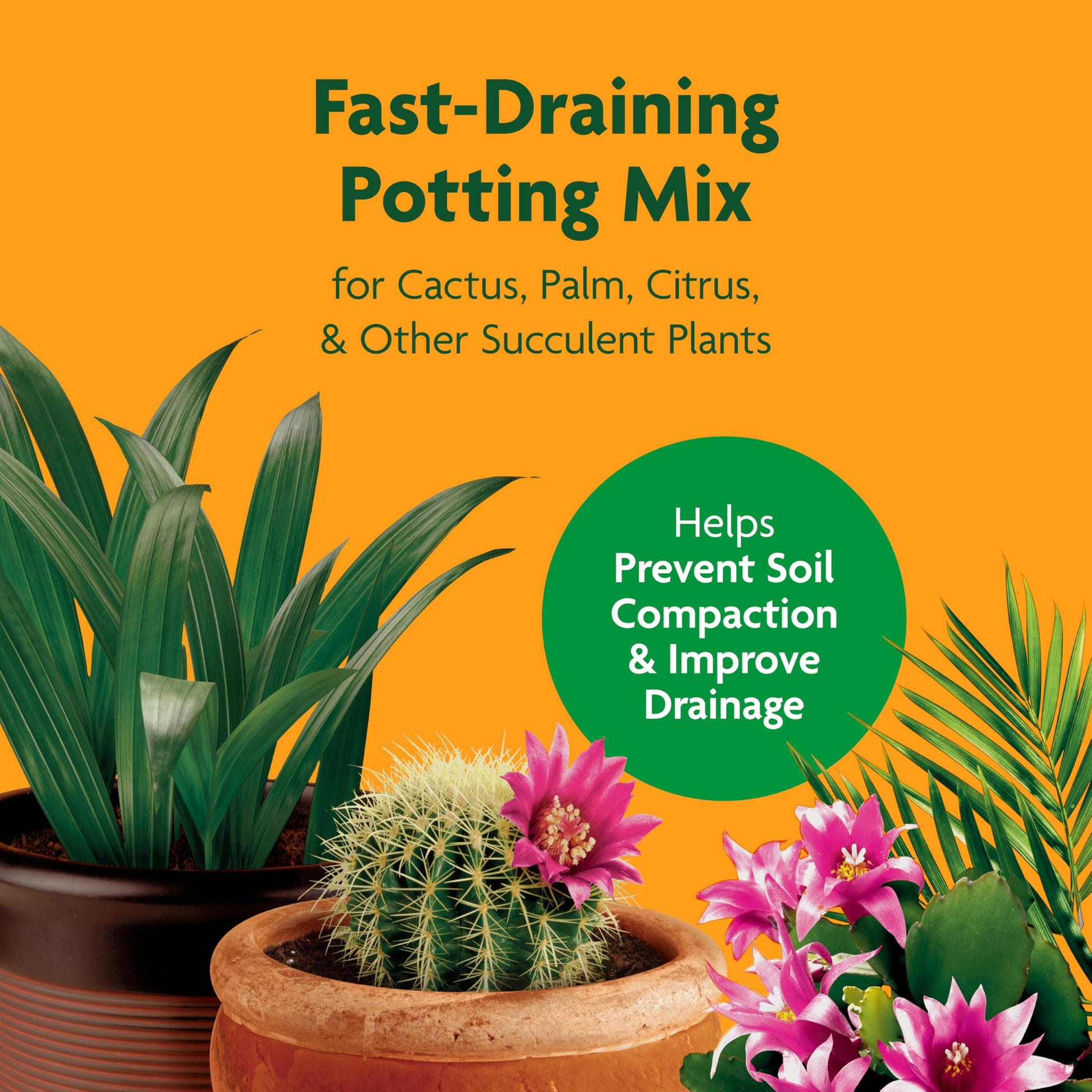 Miracle-Gro Cactus, Palm and Citrus Potting Mix, for Indoor or Outdoor Potted Plants, Great for Succulents, 8 qt., 2-Pack