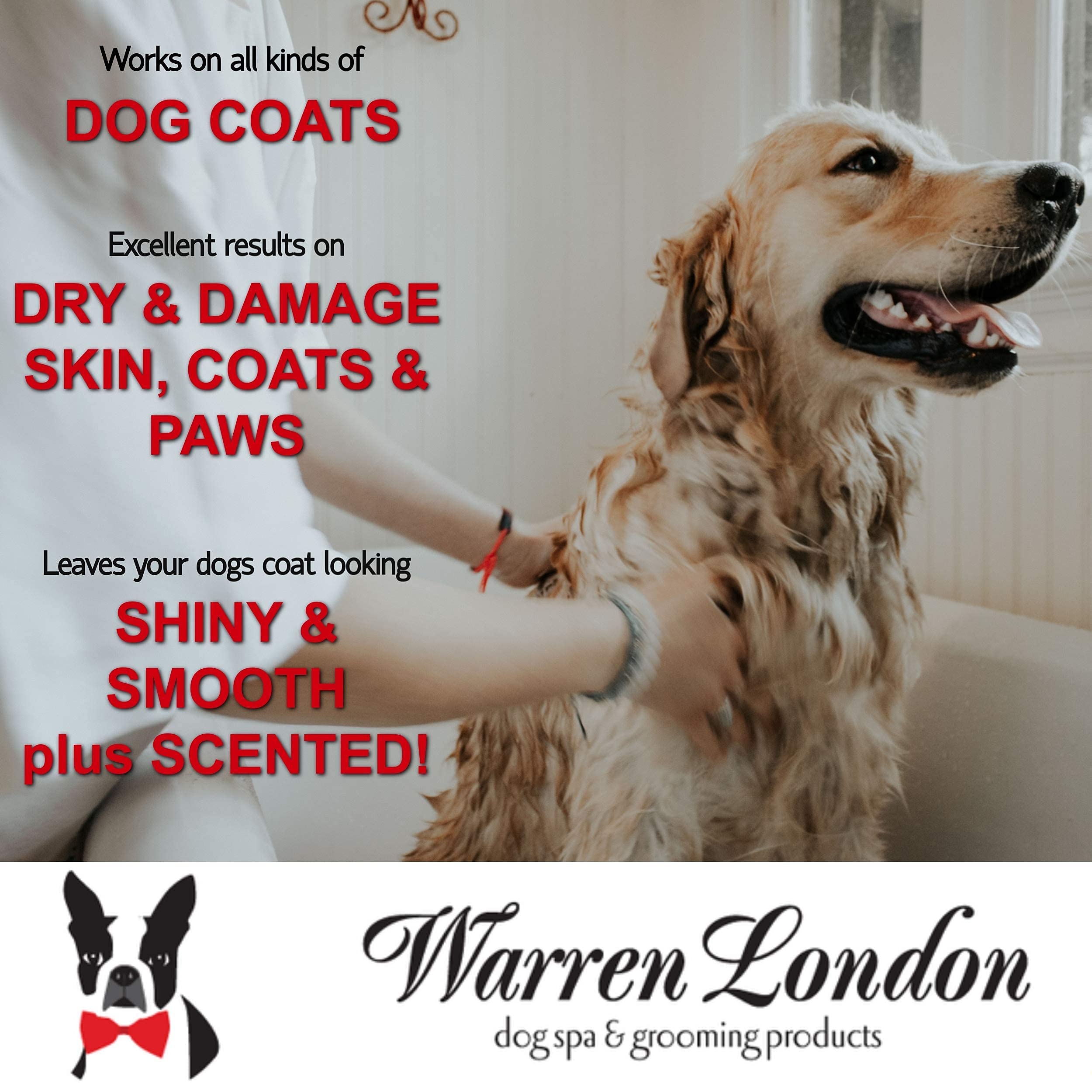 Warren London Hydrating Butter Leave In Pet Conditioner for Dogs | Lotion Skin and Coat Aloe Puppy & Dog Hair Detangler, Dry Skin, Fur Dandruff Use After Shampoo Bathing Made in USA Guava 8oz