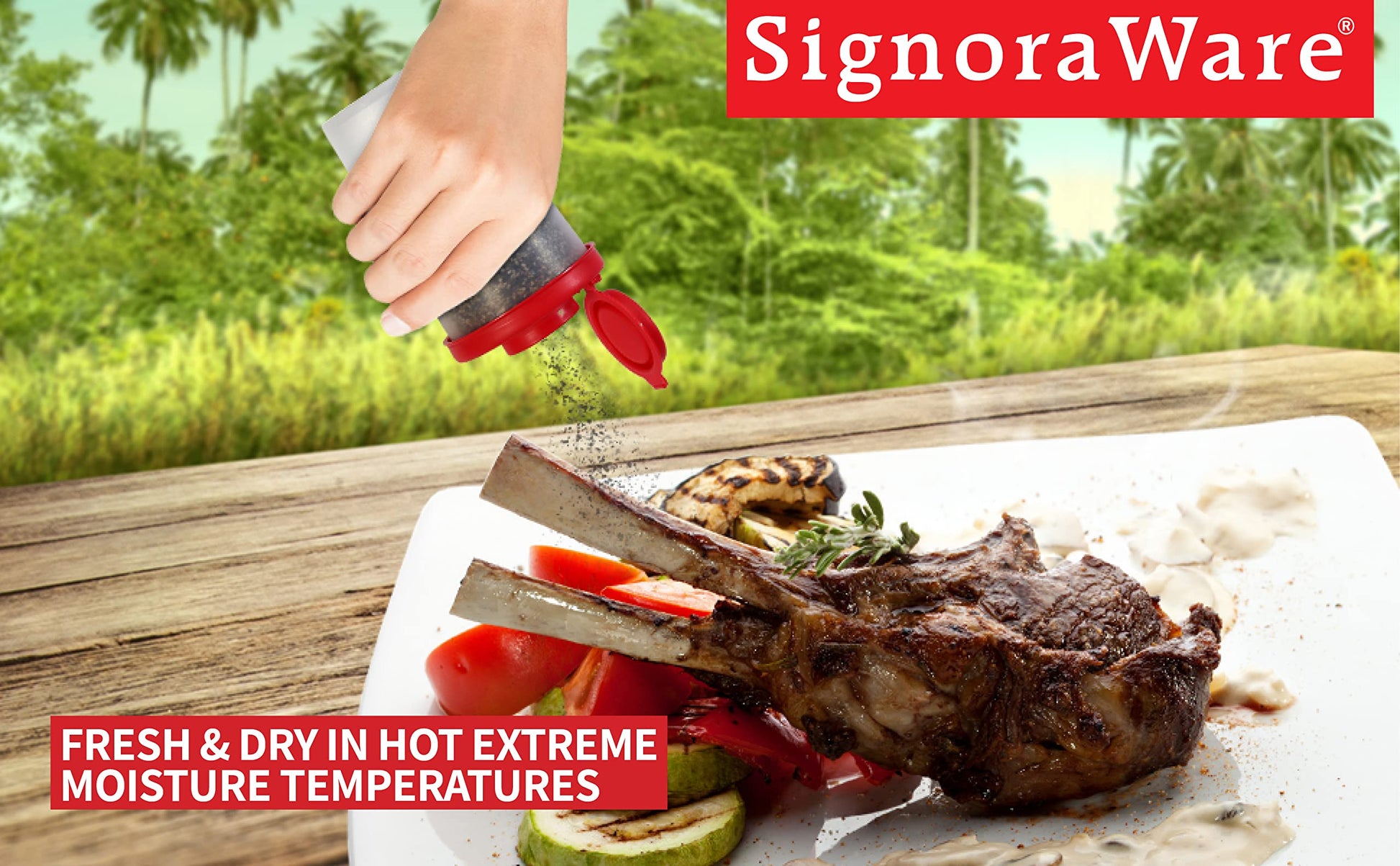 SIGNORAWARE Salt and Pepper Shakers Moisture Proof Set of 2 Large Salt Shaker to go Camping Picnic Outdoors Kitchen Lunch Boxes Travel Spice Set Clear with Red Covers Lids Plastic Airtight Dispenser