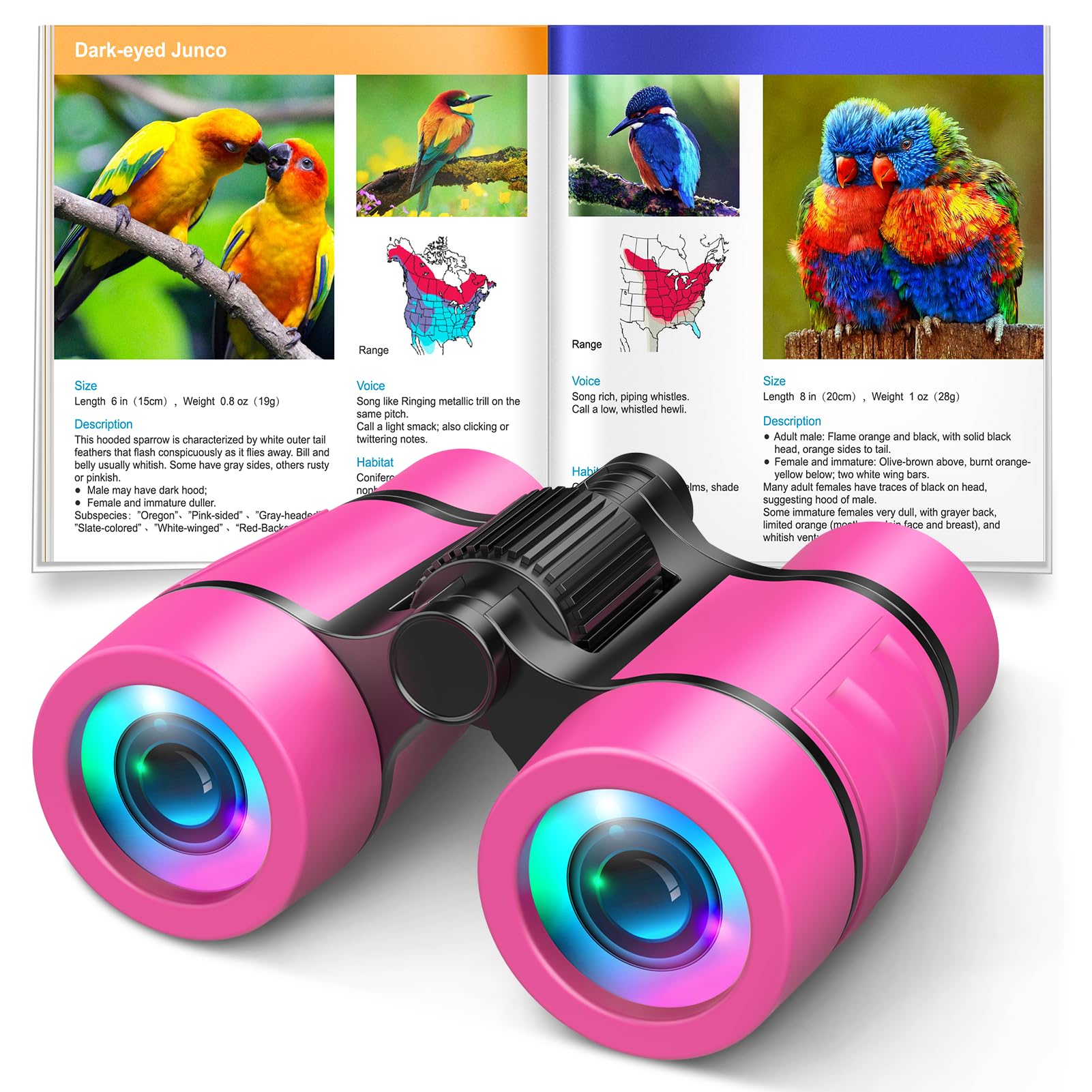 Spielzeug für Mädchen von 3–7 Jahren: AUF GEHT'S! Fernglas für Kinder zur Vogelbeobachtung|Wandern|Camping für 4 5 6 7 8 Jahre alte Mädchen Jungen Oster-Geburtstagsgeschenke Lernspielzeug für Kinder im Alter von 4–6 Jahren Kleinkindgeschenk Füllmaterial