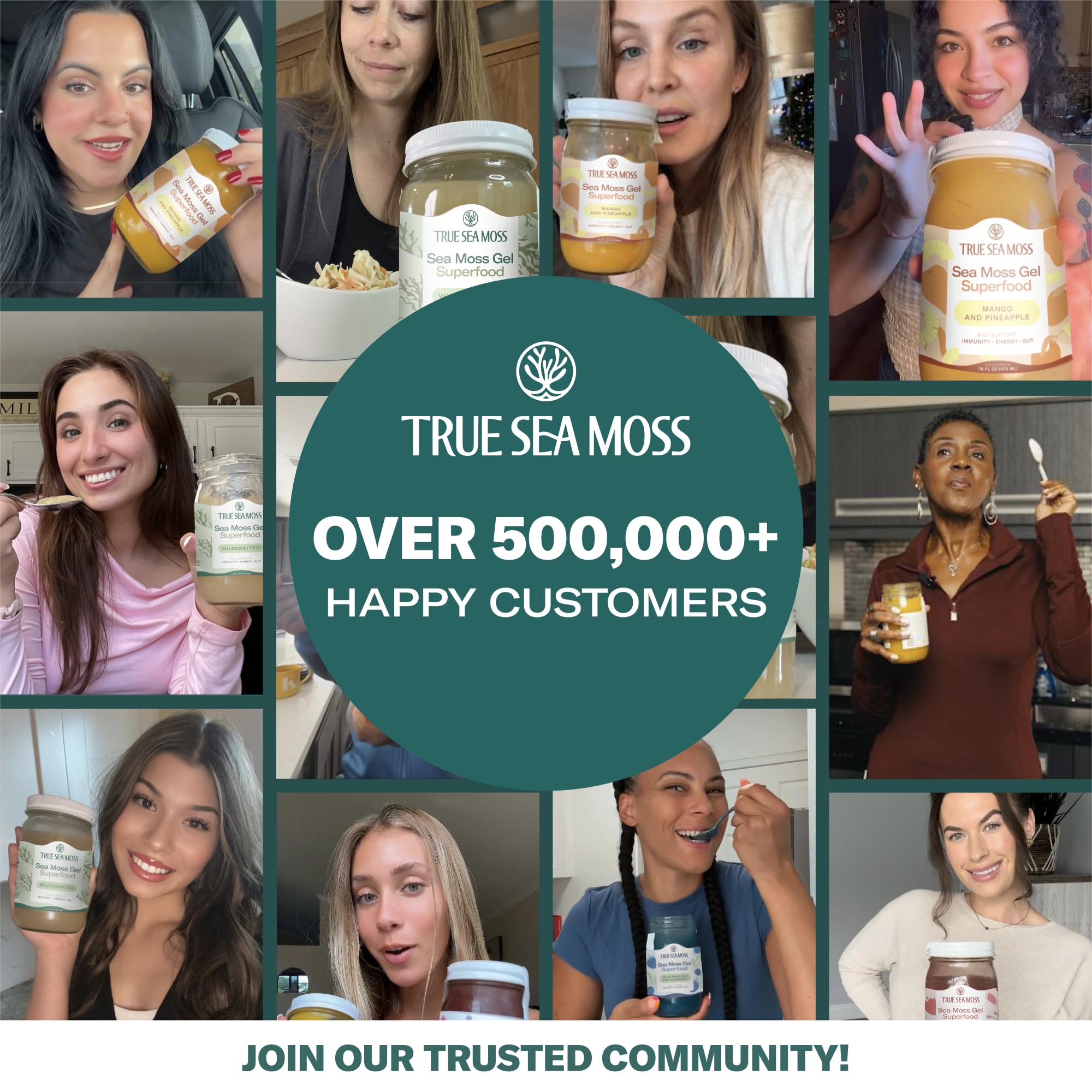 TrueSeaMoss Sea Moss Gel – Made in USA – Wildcrafted Seamoss, Fresh Fruits & Sea Vegetables – Blue Spirulina, Pack of 1 (Labels may Vary)