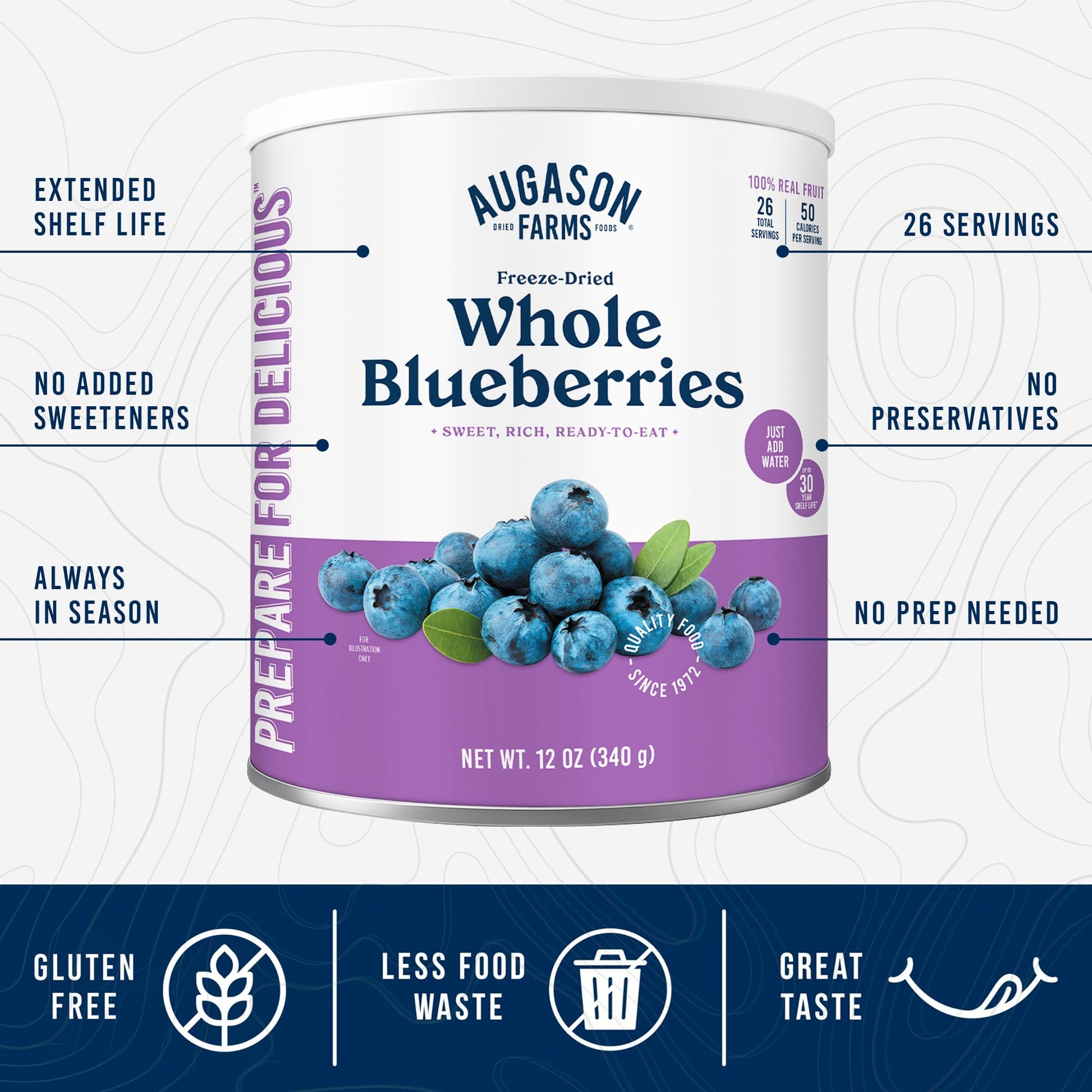 Augason Farms Dried Whole Blueberries Can – Dried Fruit for Baking & Emergency Food Supply – Dehydrated Camping Food with Long Shelf Life for Everyday Meal – 26 Servings