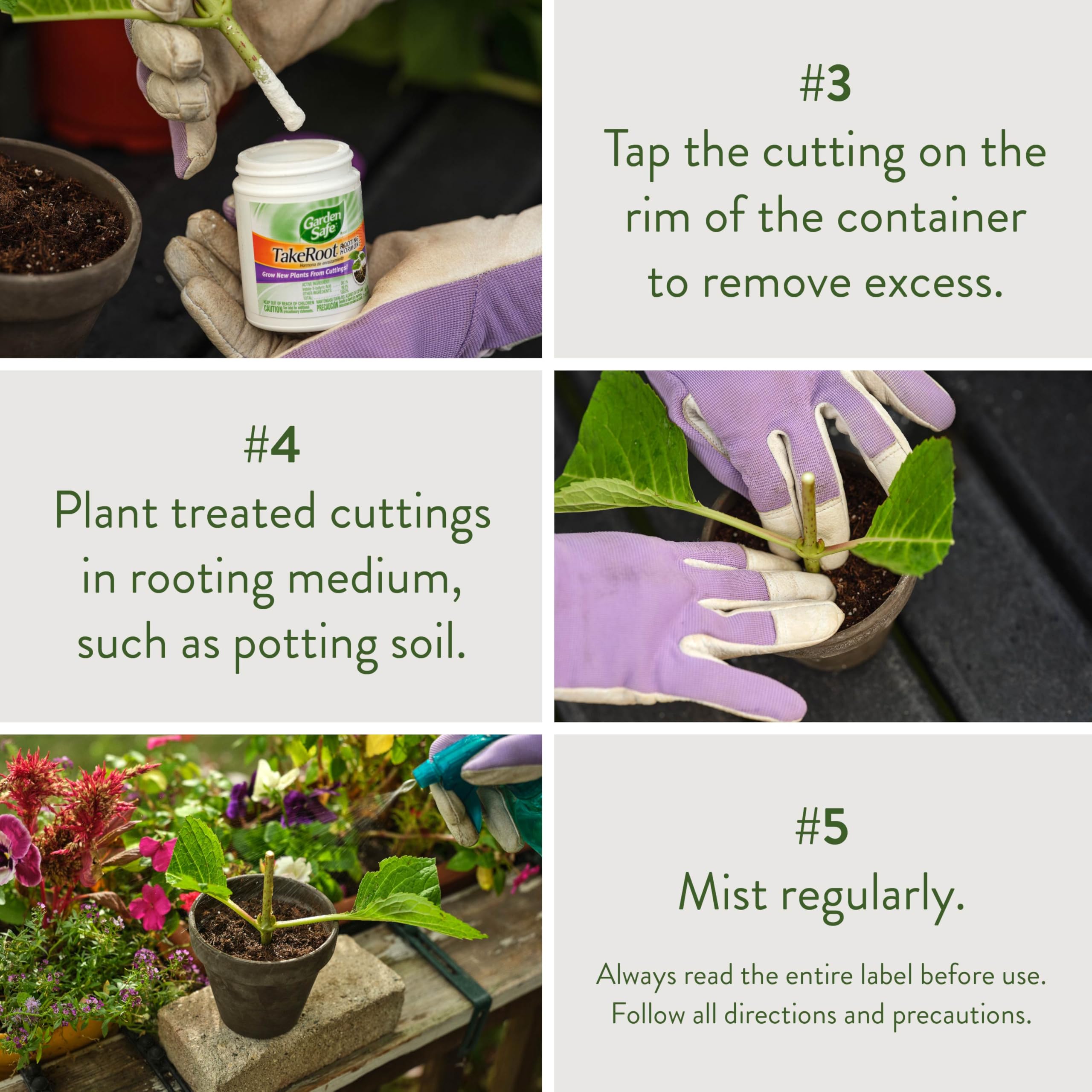 Garden Safe Brand TakeRoot Rooting Hormone, 2 Count, Powder Helps Grow New Plants from Cuttings Including Most Home, Garden and Greenhouse Varieties, 2 Pack