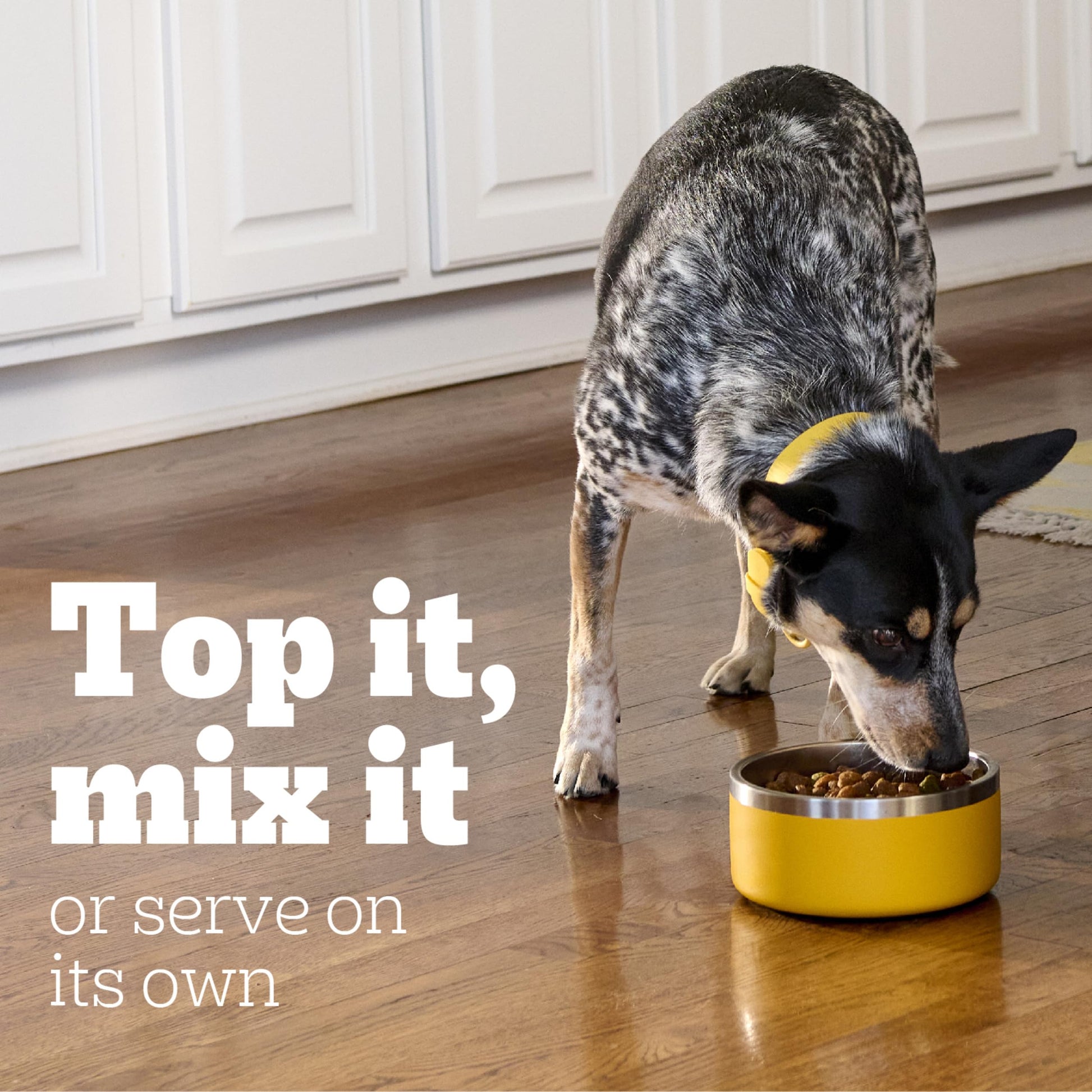 Pedigree Puppy Chopped Ground Dinner Canned Wet Puppy Food with Chicken & Beef, 13.2 oz. Cans (12 Count, Pack of 1)