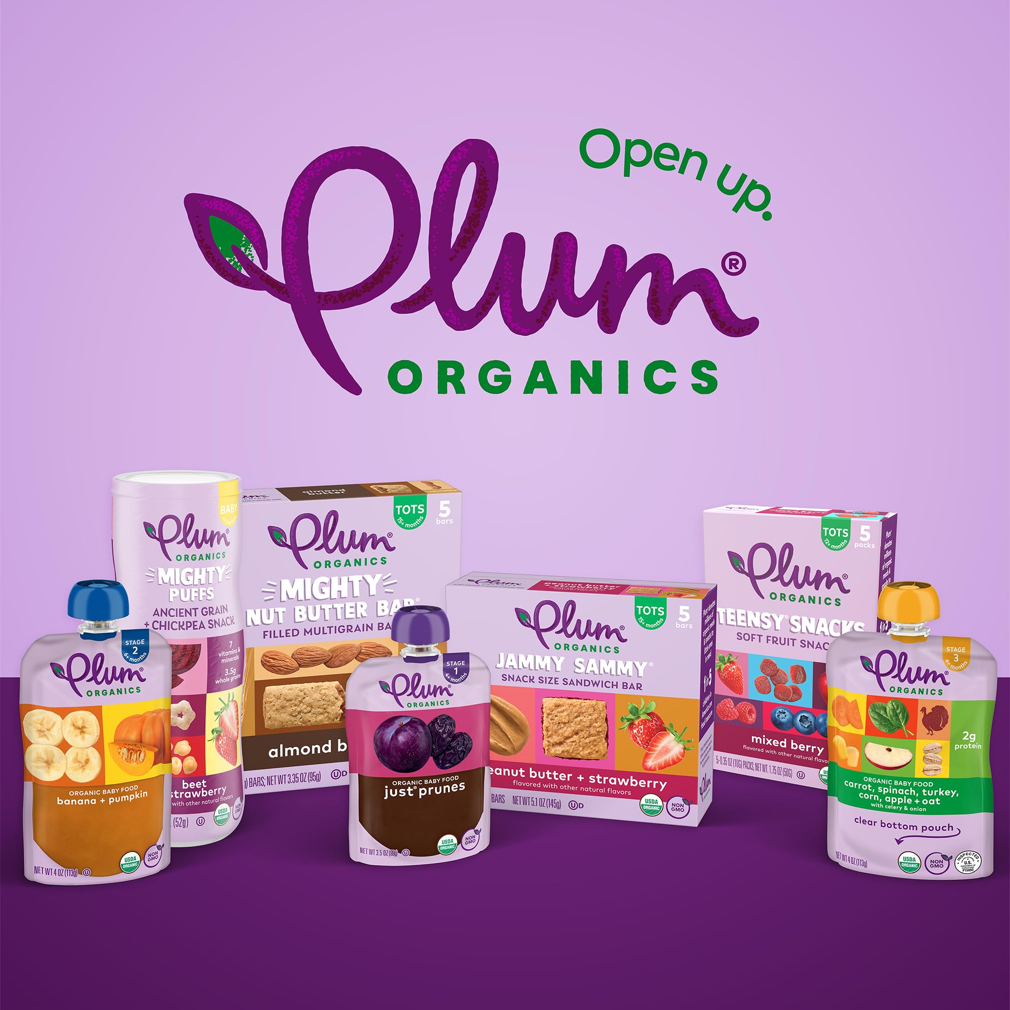 Plum Organics Teensy Snacks Soft Fruit Snacks - Mixed Berry - 5 Count (Pack of 8) - Organic Toddler Food Fruit Snacks