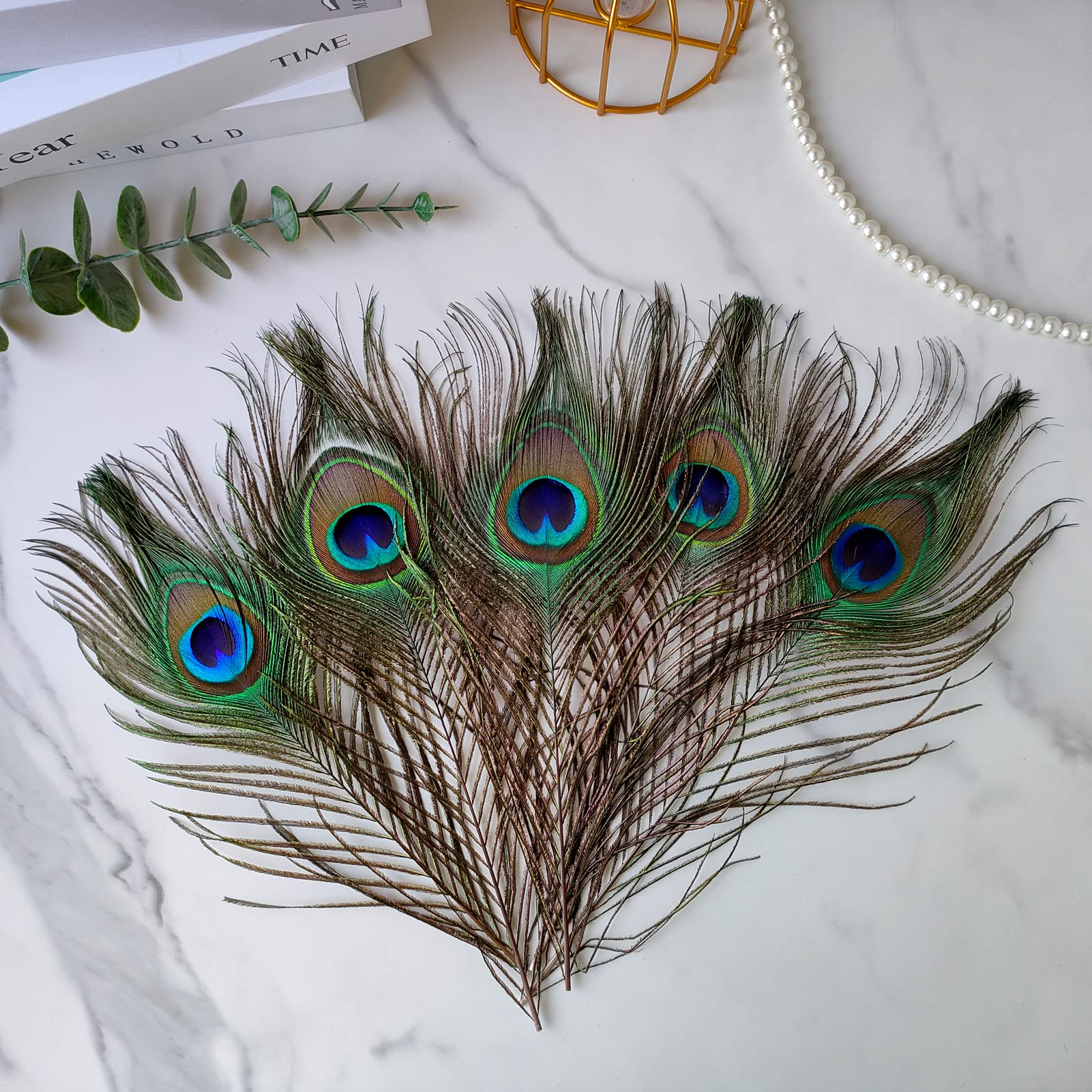 THARAHT 24pcs Peacock Feather Natural in Bulk 10-12 inch 25-30cm for Vase Craft Vase Wedding Home Party Christmas Day Decoration Peacock Feathers