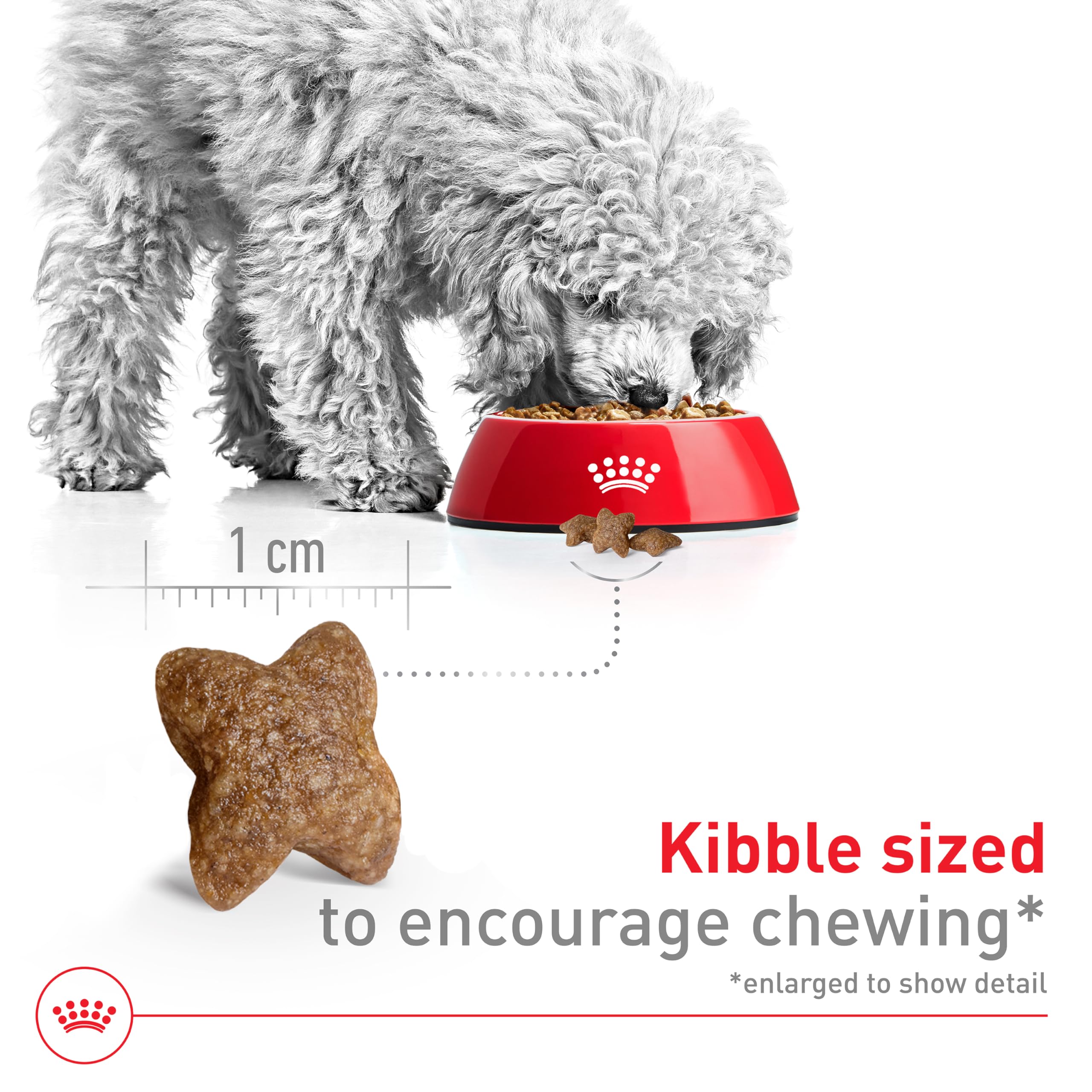 Royal Canin Size Health Nutrition Small Adult Dry Dog Food, 14 lb Bag