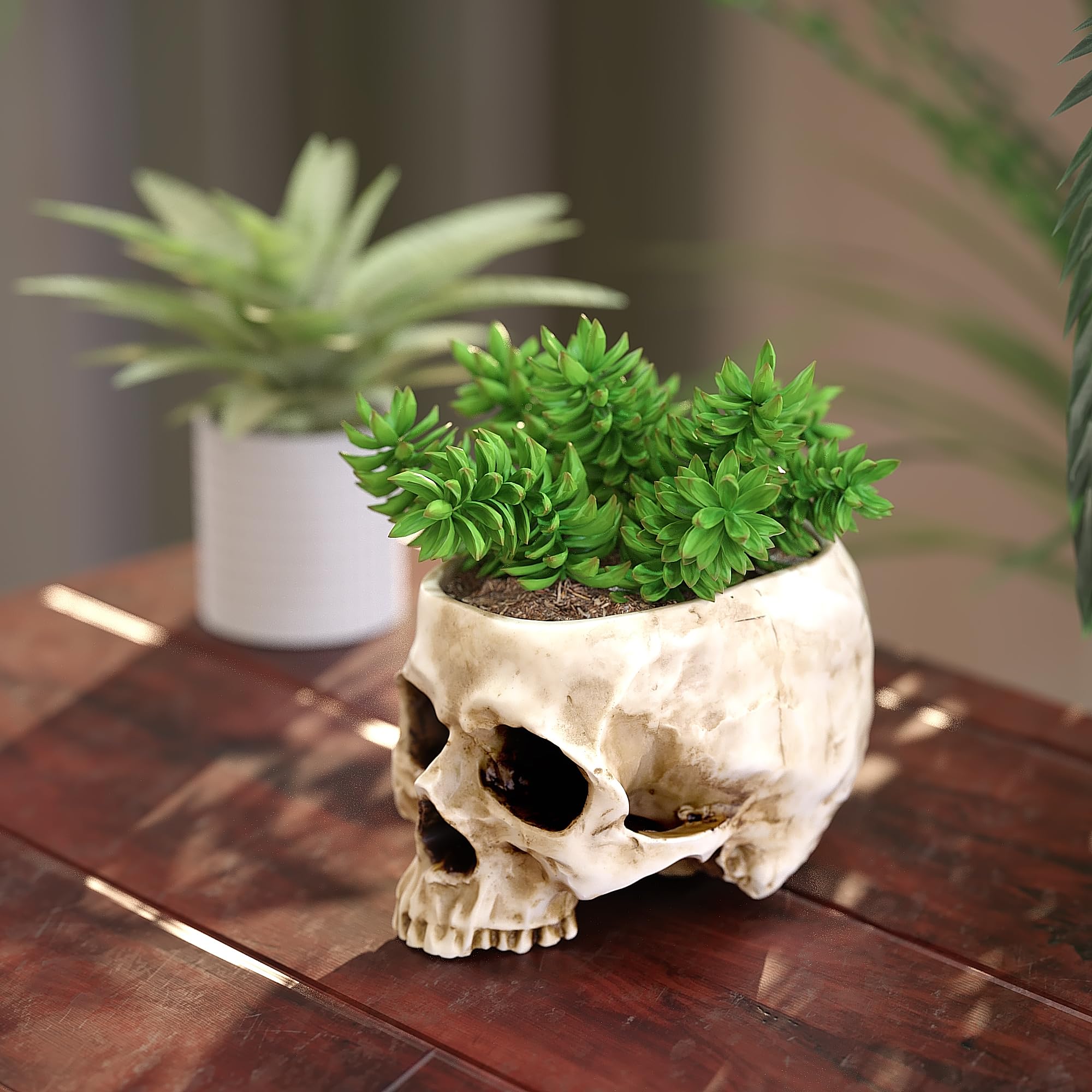 READAEER Skull Bowl Resin Skull Shaped Planter Flower Pot Candy Bowl for Home Office Indoor Desk Decorations - White