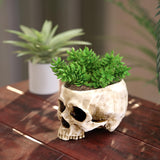 READAEER Skull Bowl Resin Skull Shaped Planter Flower Pot Candy Bowl for Home Office Indoor Desk Decorations - White