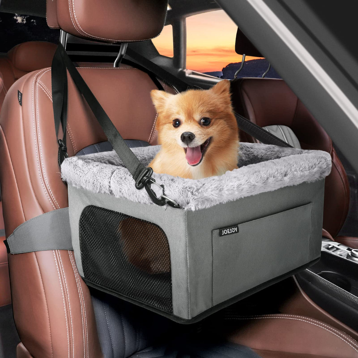 JOEJOY Deluxe Hunde-Autositz für kleine Haustiere bis 9 kg – Tragbarer Hunde-Autositz mit stabilem Metallrahmen und Sicherheitsleine, dickem Kissen und Aufbewahrungstaschen für kleine Hunde