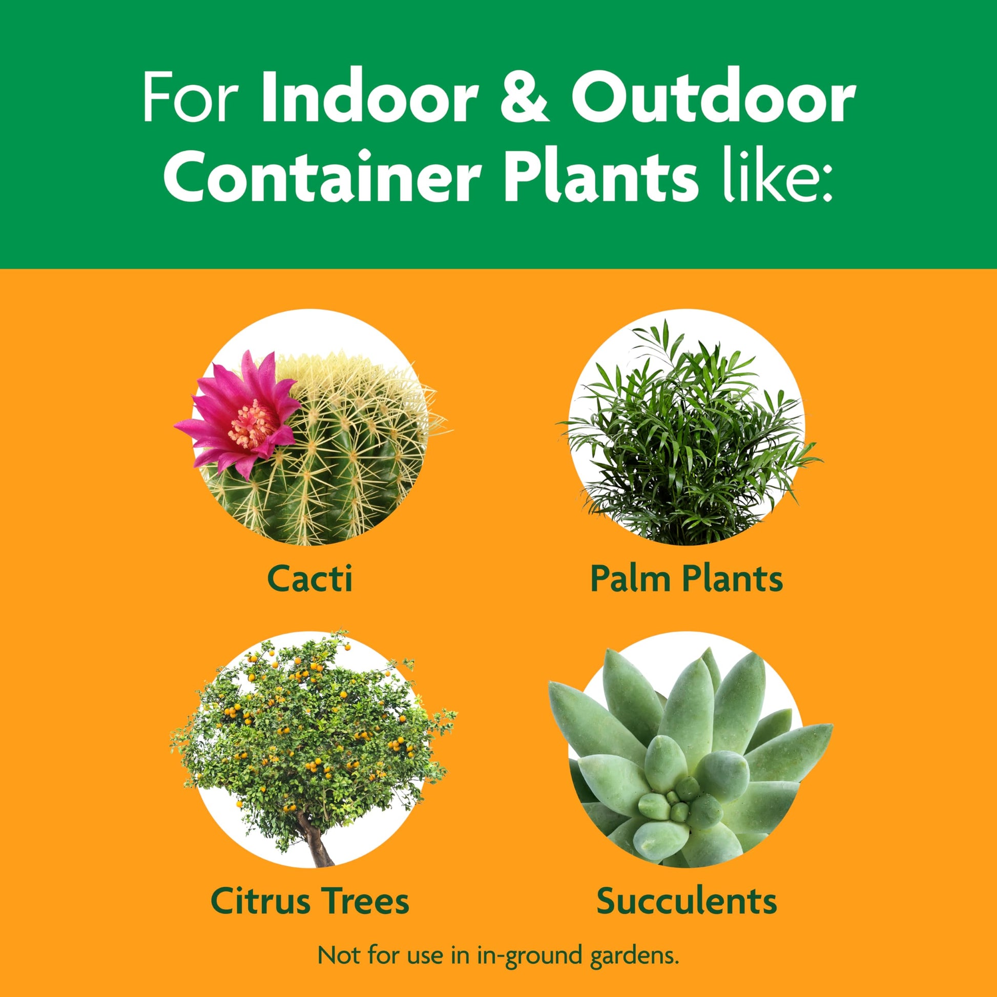 Miracle-Gro Cactus, Palm and Citrus Potting Mix, for Indoor or Outdoor Potted Plants, Great for Succulents, 8 qt., 2-Pack
