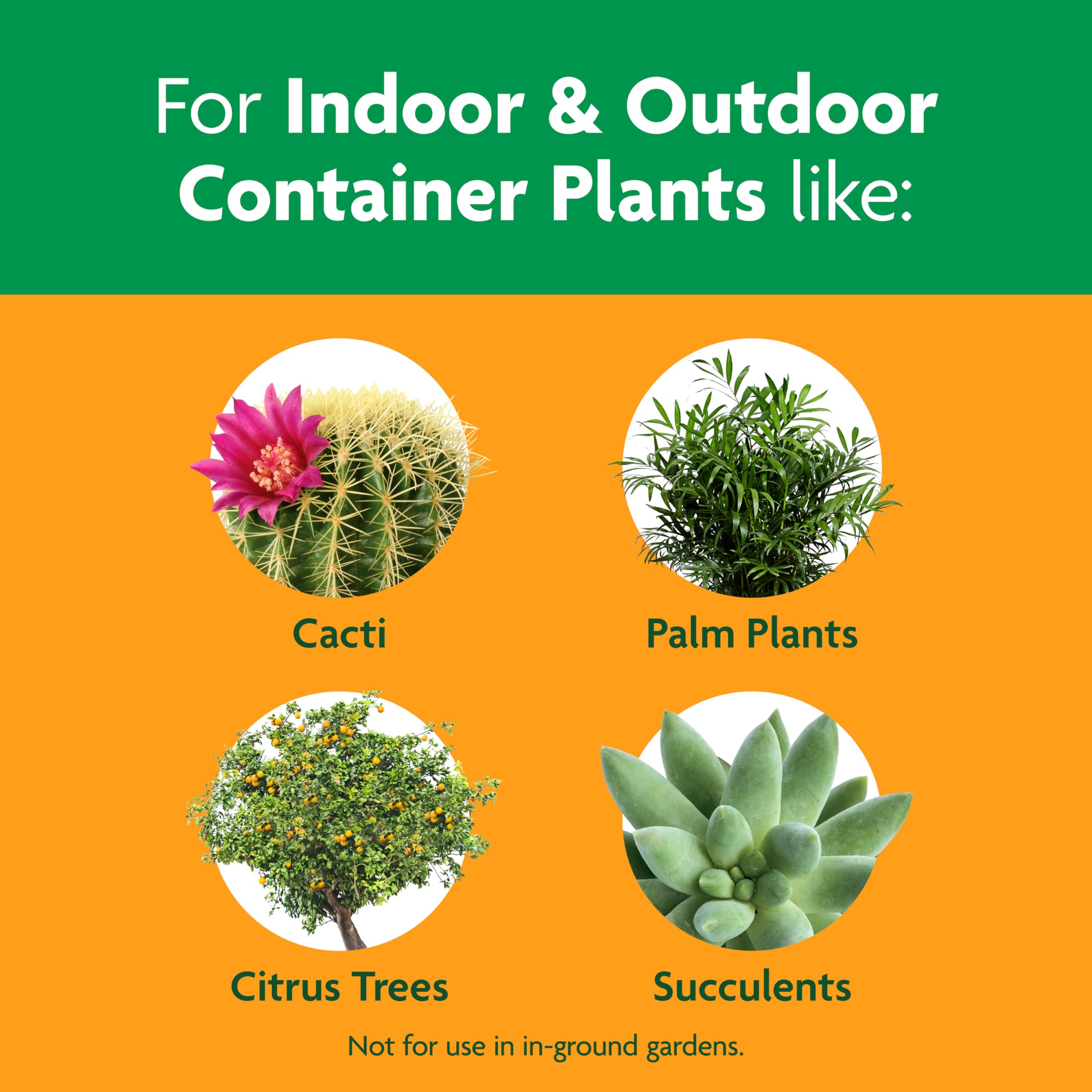 Miracle-Gro Cactus, Palm and Citrus Potting Mix, for Indoor or Outdoor Potted Plants, Great for Succulents, 8 qt., 2-Pack