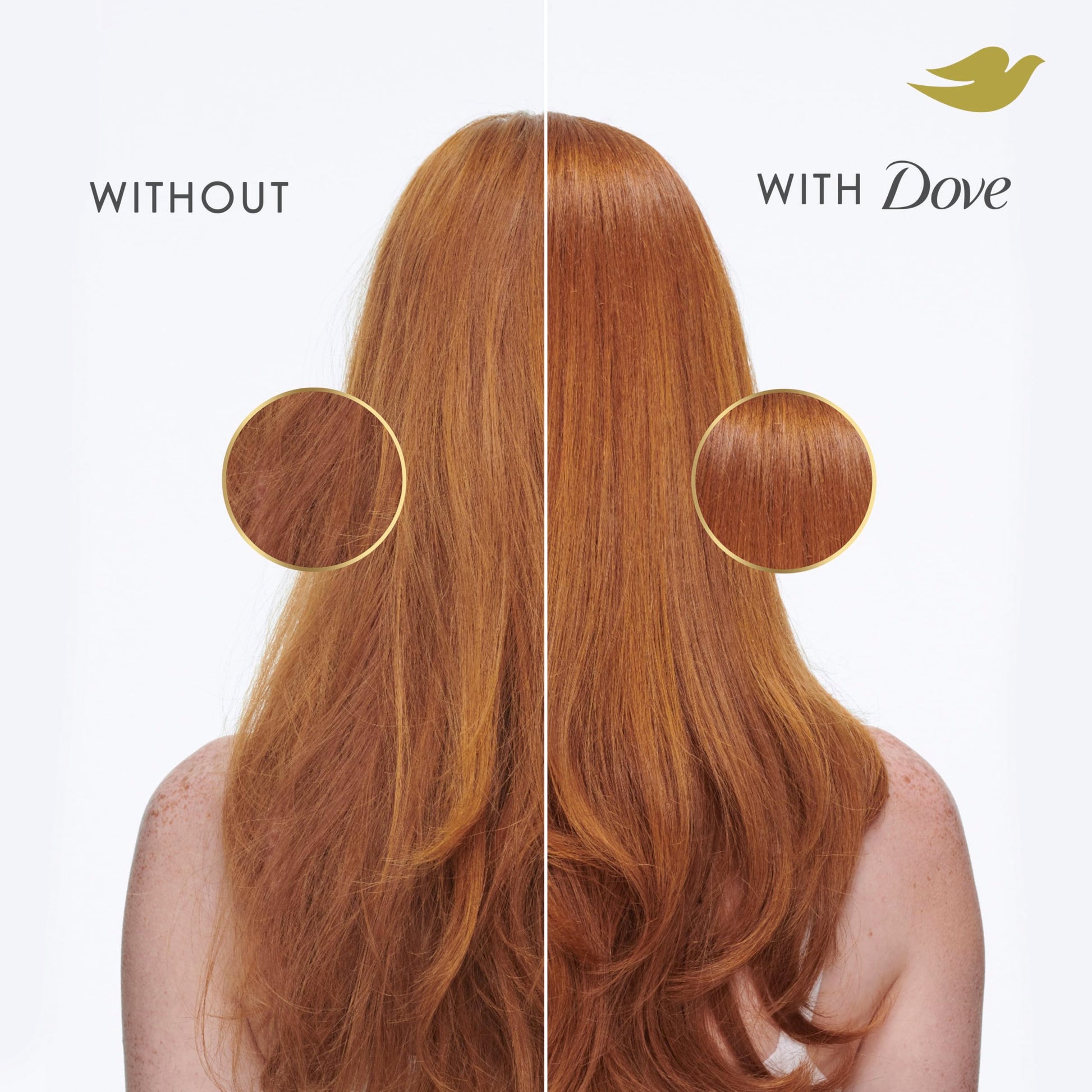 Dove Conditioner Daily Moisture for Dry Hair with Bio-Protein Care Technology and Hyaluronic Serum 28 Fl Oz