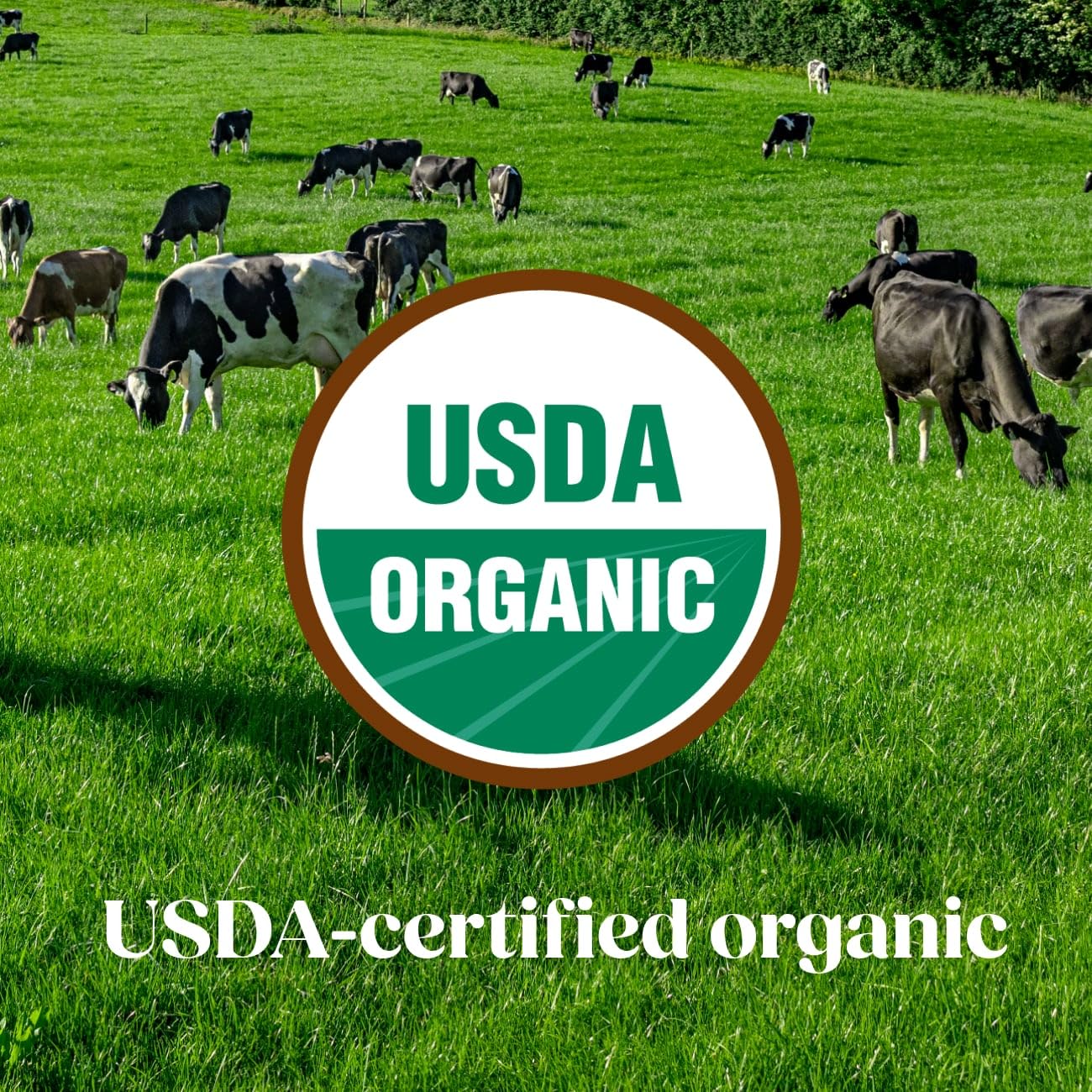 Pure Bliss by Similac Organic Infant Formula, Easy to Digest, USDA-Certified Organic, Ready to Feed, 2-fl-oz Bottle, Pack of 48