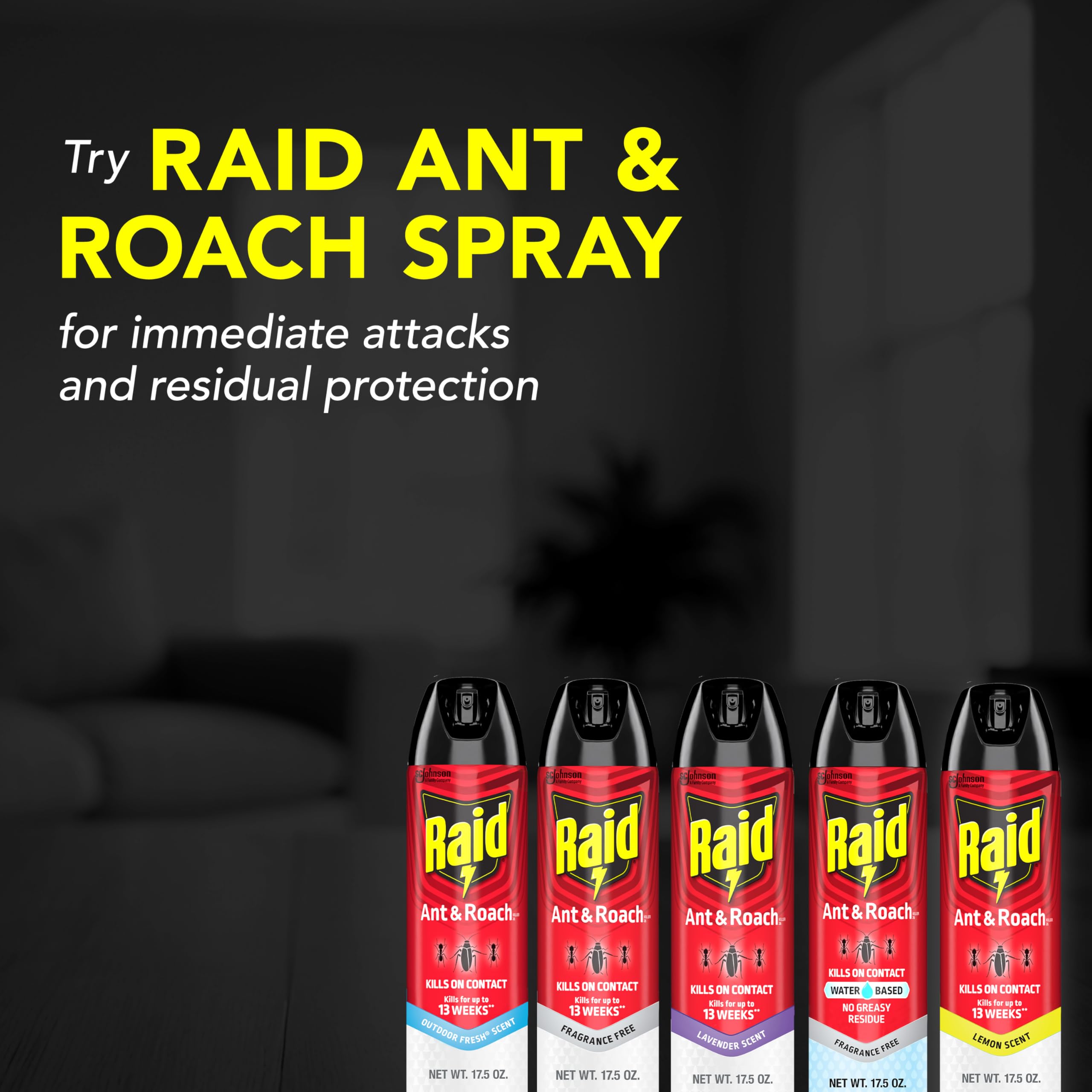 Raid Ant & Roach Killer 26, Fragrance Free Bug Killer for Home Use, Kills Bugs on Contact, 17.5 Oz, 2 Count