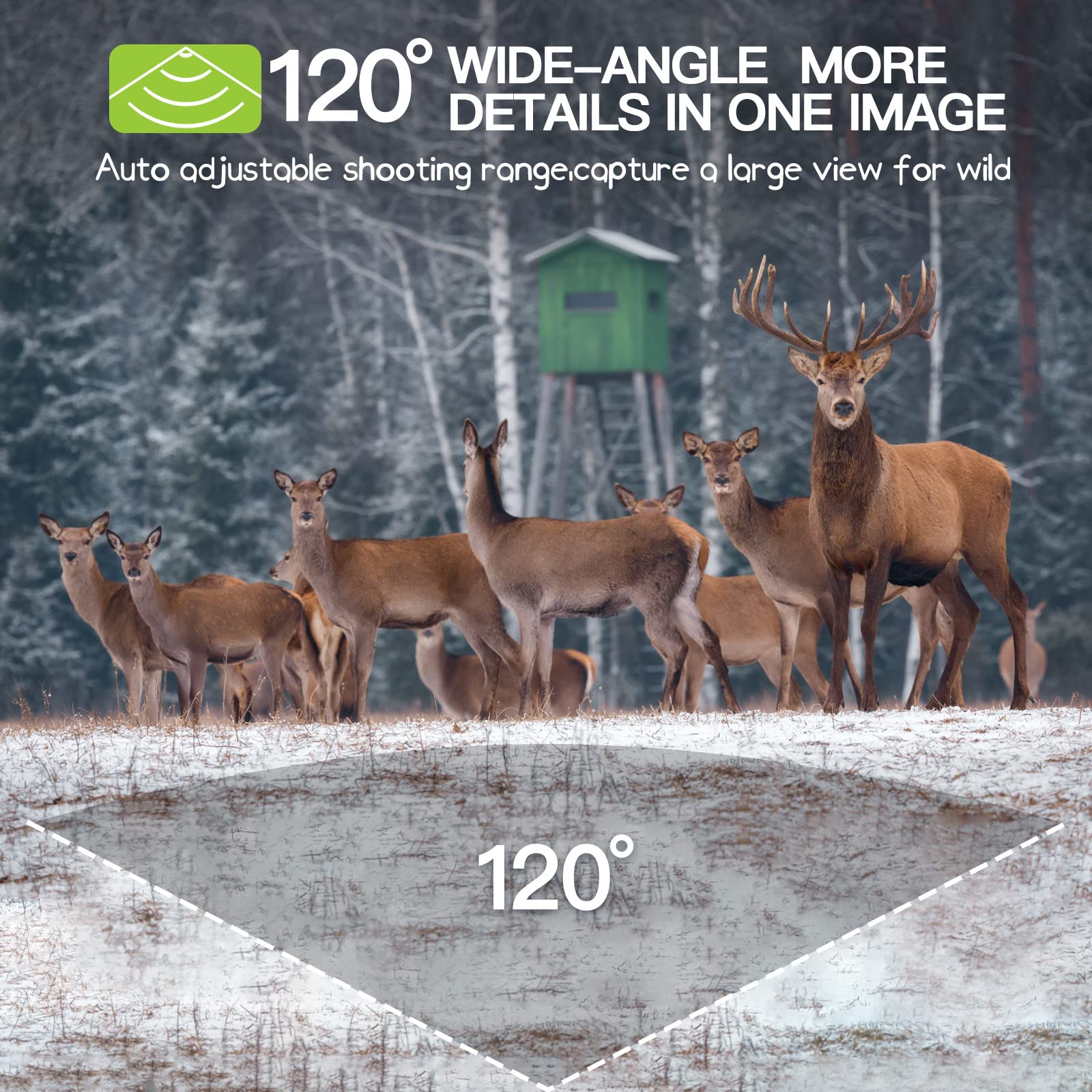 Punvoe Trail Camera 2 Pack 36 MP 2.7K Game Camera 32GB Memory Card 4 Batteries Time 2.0" LCD Screen, Trail Cameras with 120°Wide Night Vision IP66 Waterproof for Monitoring Wildlife Trail Cam
