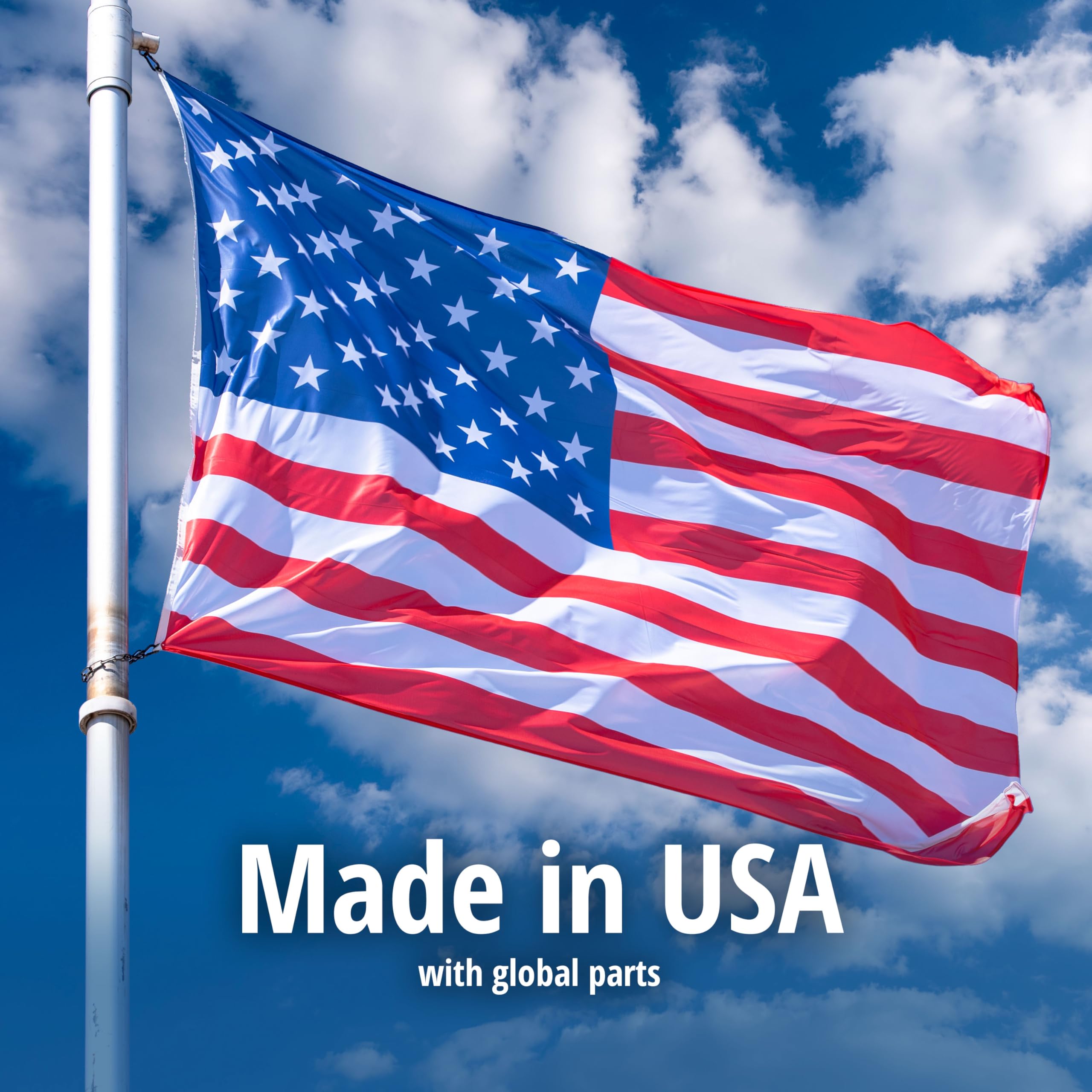 HAVAHART 1079SR Large 1-Door Humane Catch and Release Live Animal Trap Cage - Live Raccoon Trap, for Bobcats, Beavers, Dogs, & More